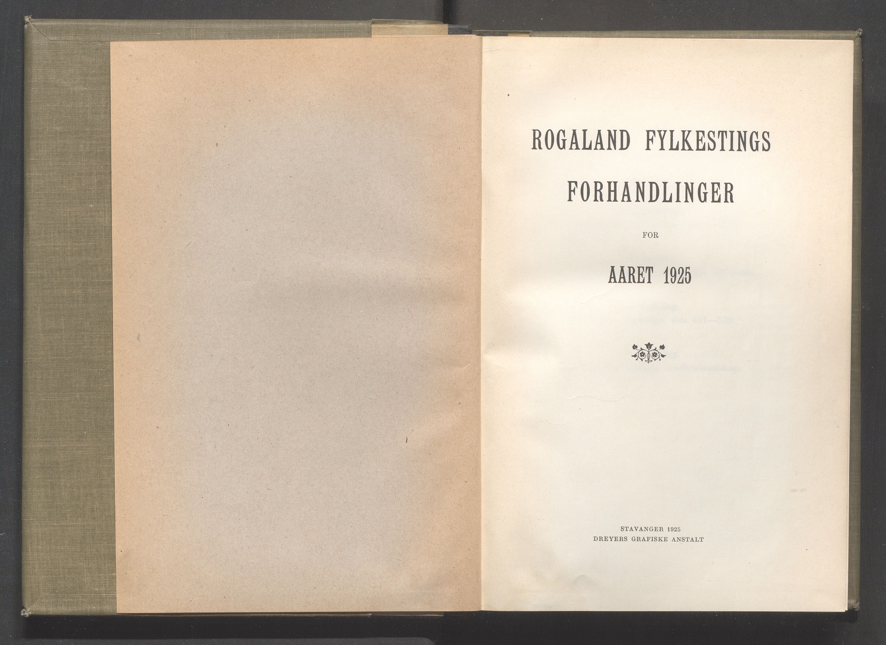 Rogaland fylkeskommune - Fylkesrådmannen , IKAR/A-900/A/Aa/Aaa/L0044: Møtebok , 1925
