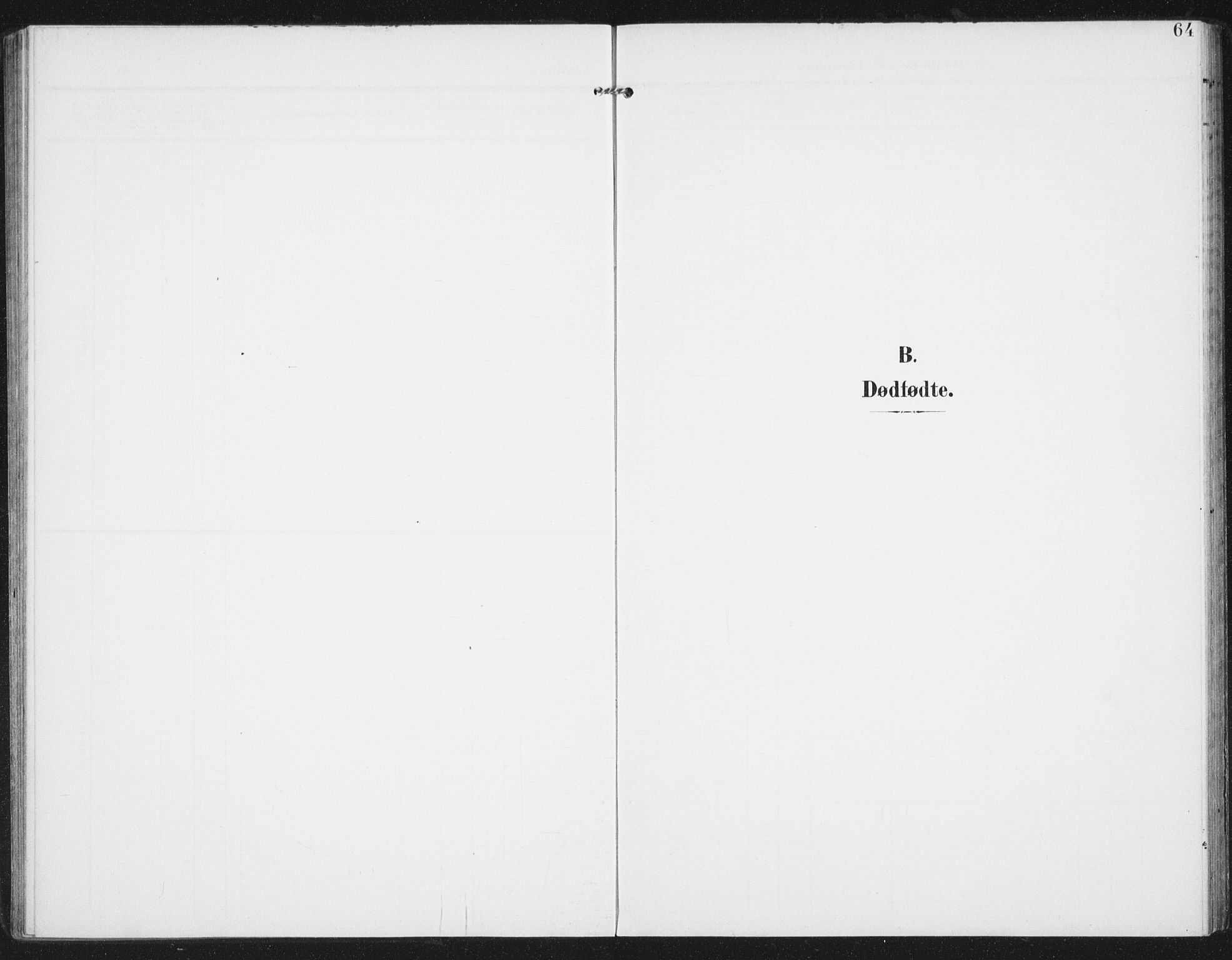 Ministerialprotokoller, klokkerbøker og fødselsregistre - Nordland, SAT/A-1459/886/L1221: Ministerialbok nr. 886A03, 1903-1913, s. 64