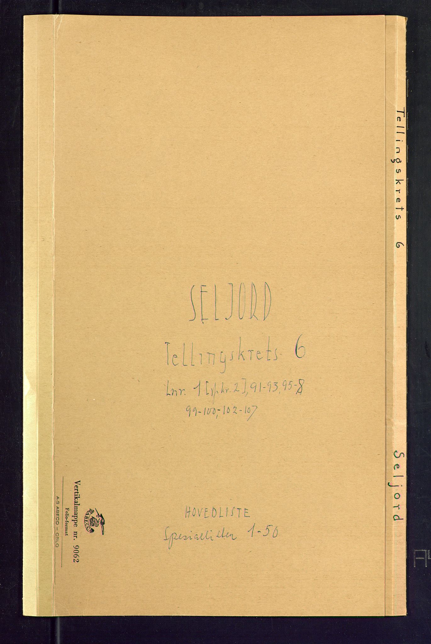 SAKO, Folketelling 1875 for 0828P Seljord prestegjeld, 1875, s. 21