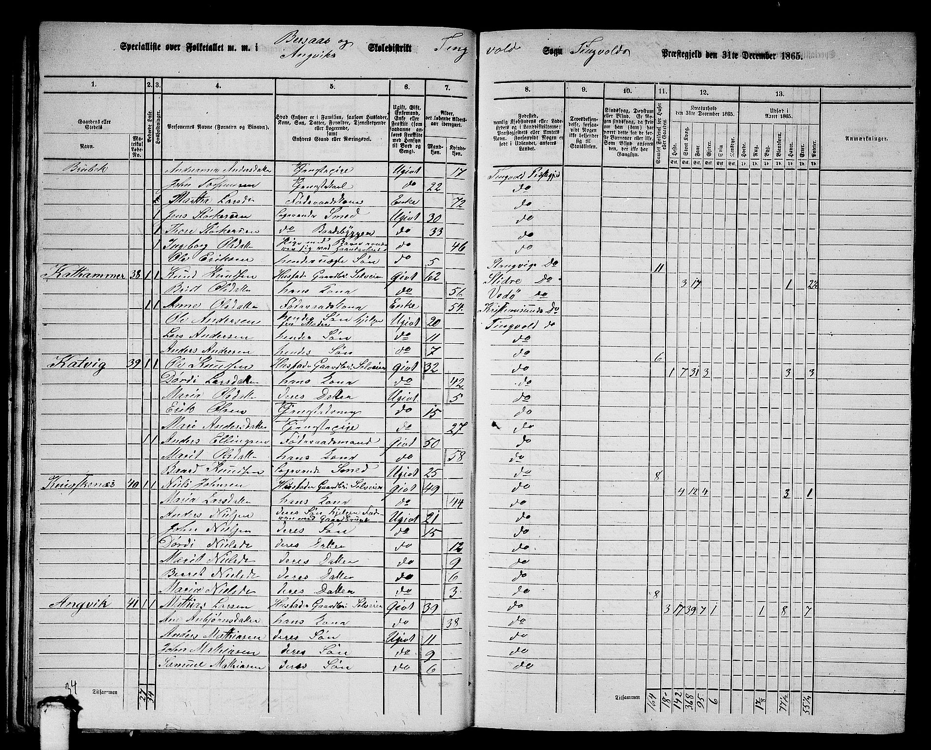 RA, Folketelling 1865 for 1560P Tingvoll prestegjeld, 1865, s. 31