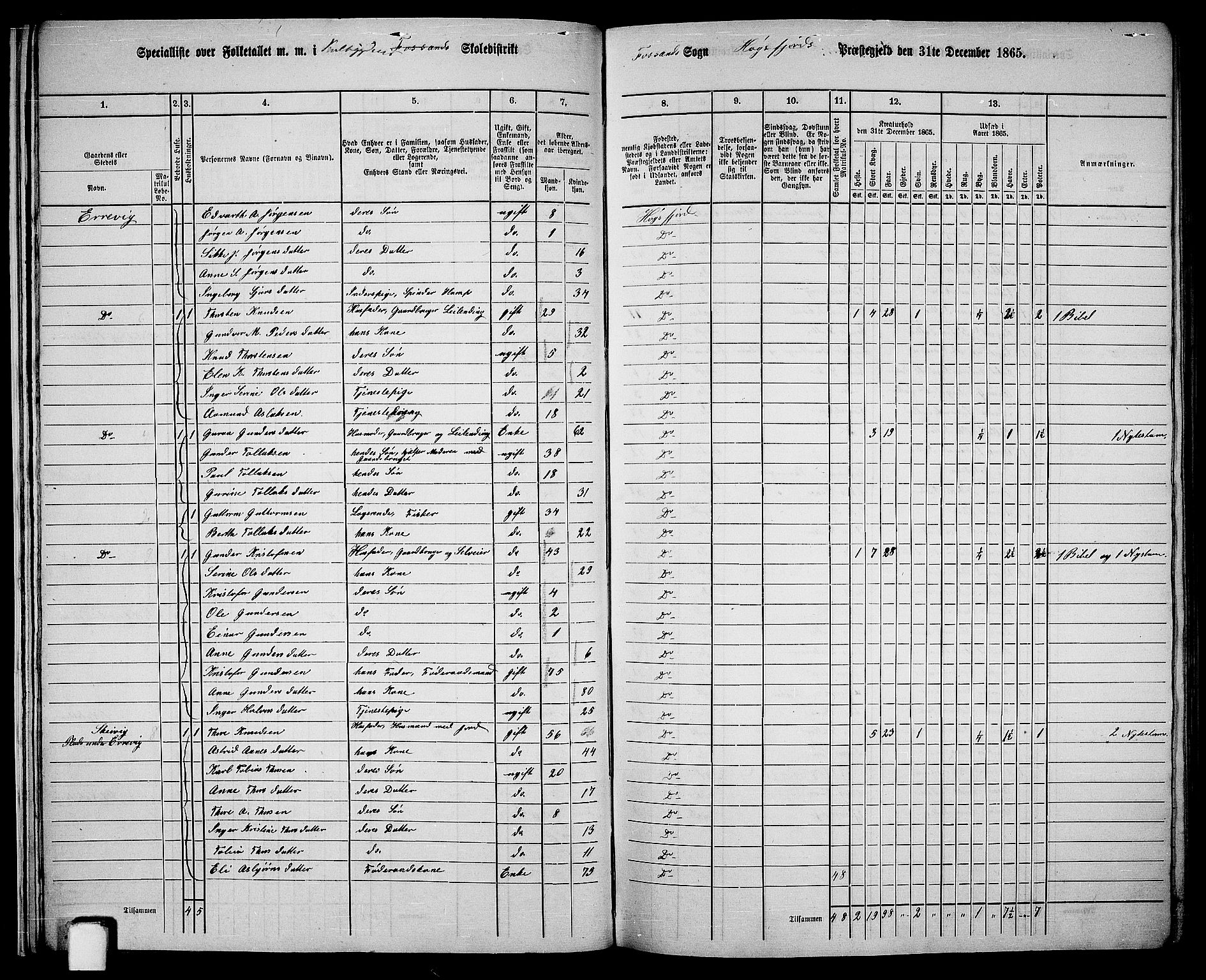 RA, Folketelling 1865 for 1128P Høgsfjord prestegjeld, 1865, s. 15