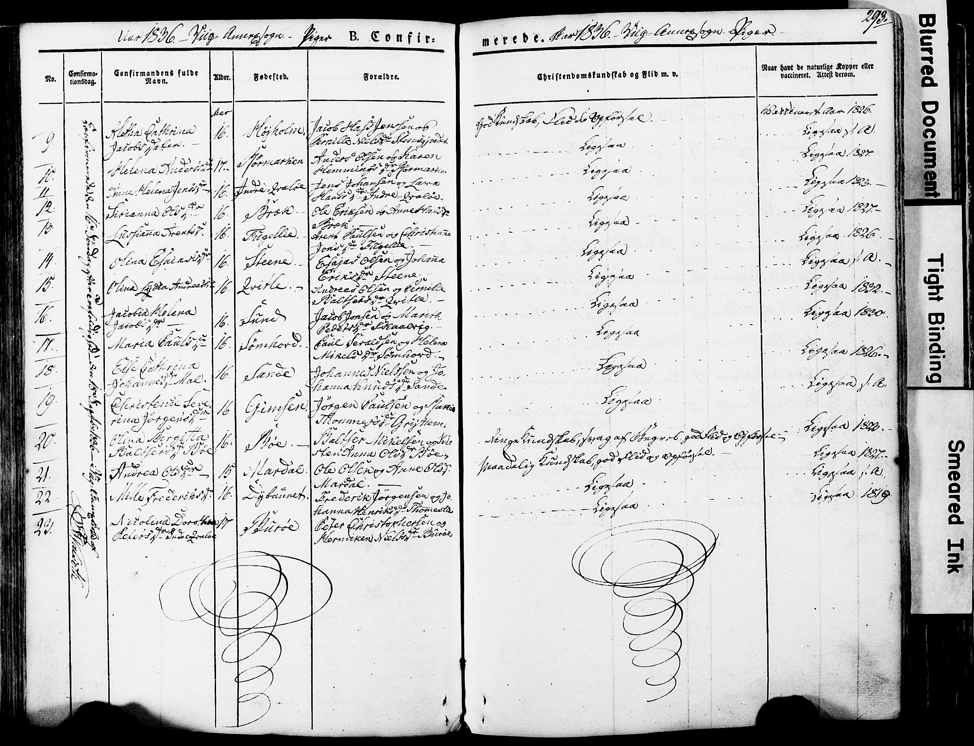 Ministerialprotokoller, klokkerbøker og fødselsregistre - Nordland, AV/SAT-A-1459/812/L0176: Ministerialbok nr. 812A05, 1834-1874, s. 293