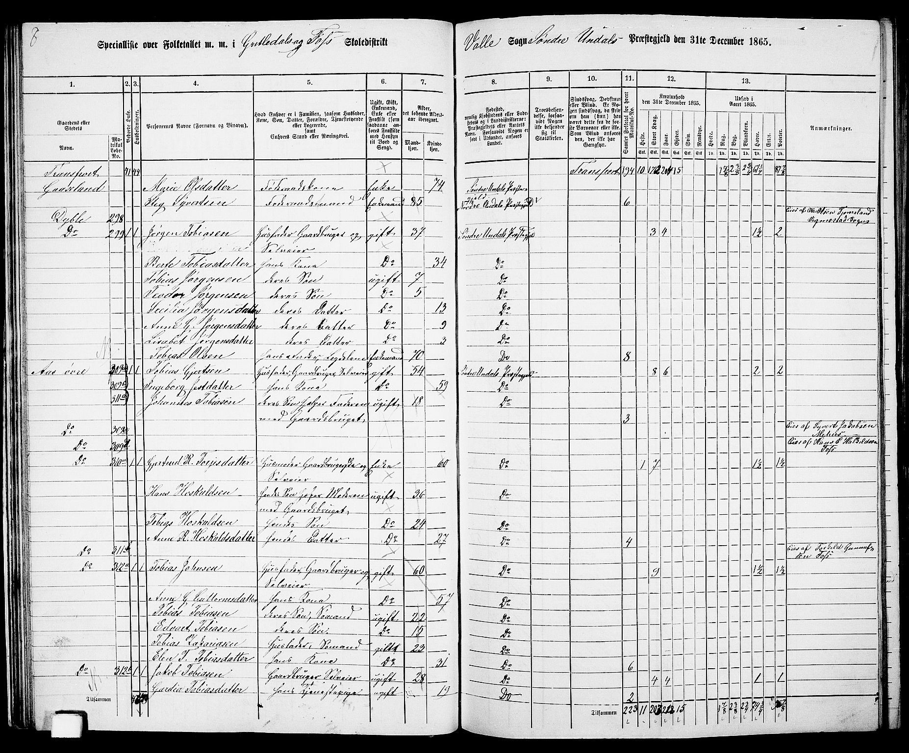 RA, Folketelling 1865 for 1029P Sør-Audnedal prestegjeld, 1865, s. 34