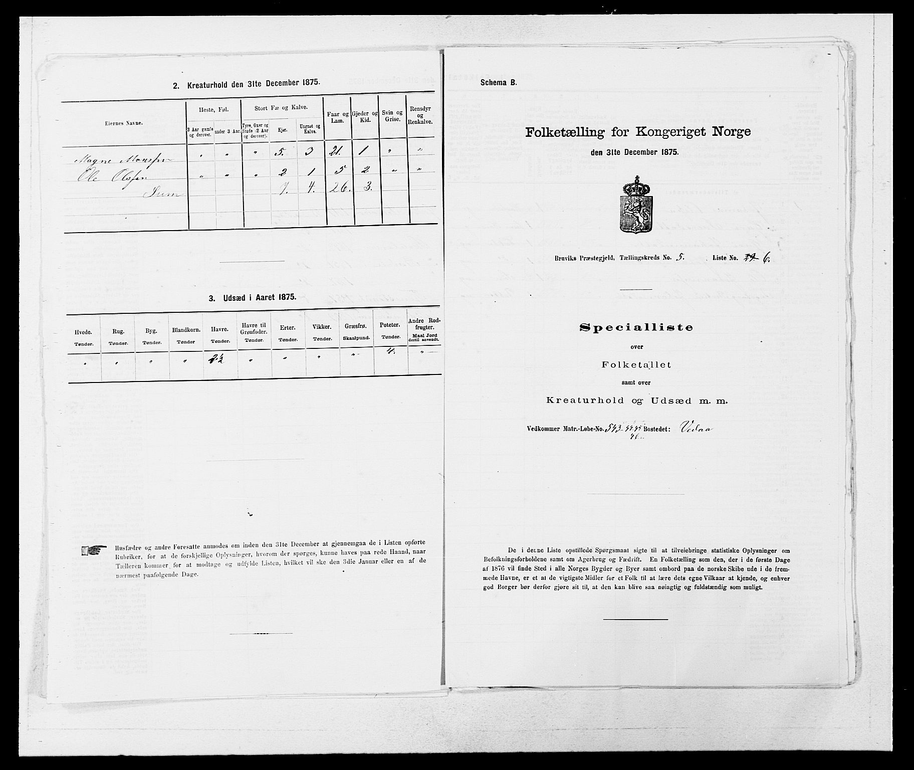 SAB, Folketelling 1875 for 1251P Bruvik prestegjeld, 1875, s. 415