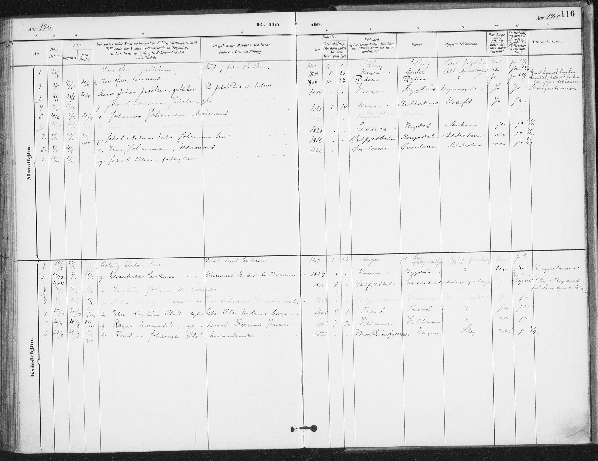 Ministerialprotokoller, klokkerbøker og fødselsregistre - Nordland, SAT/A-1459/826/L0380: Ministerialbok nr. 826A03, 1891-1911, s. 116
