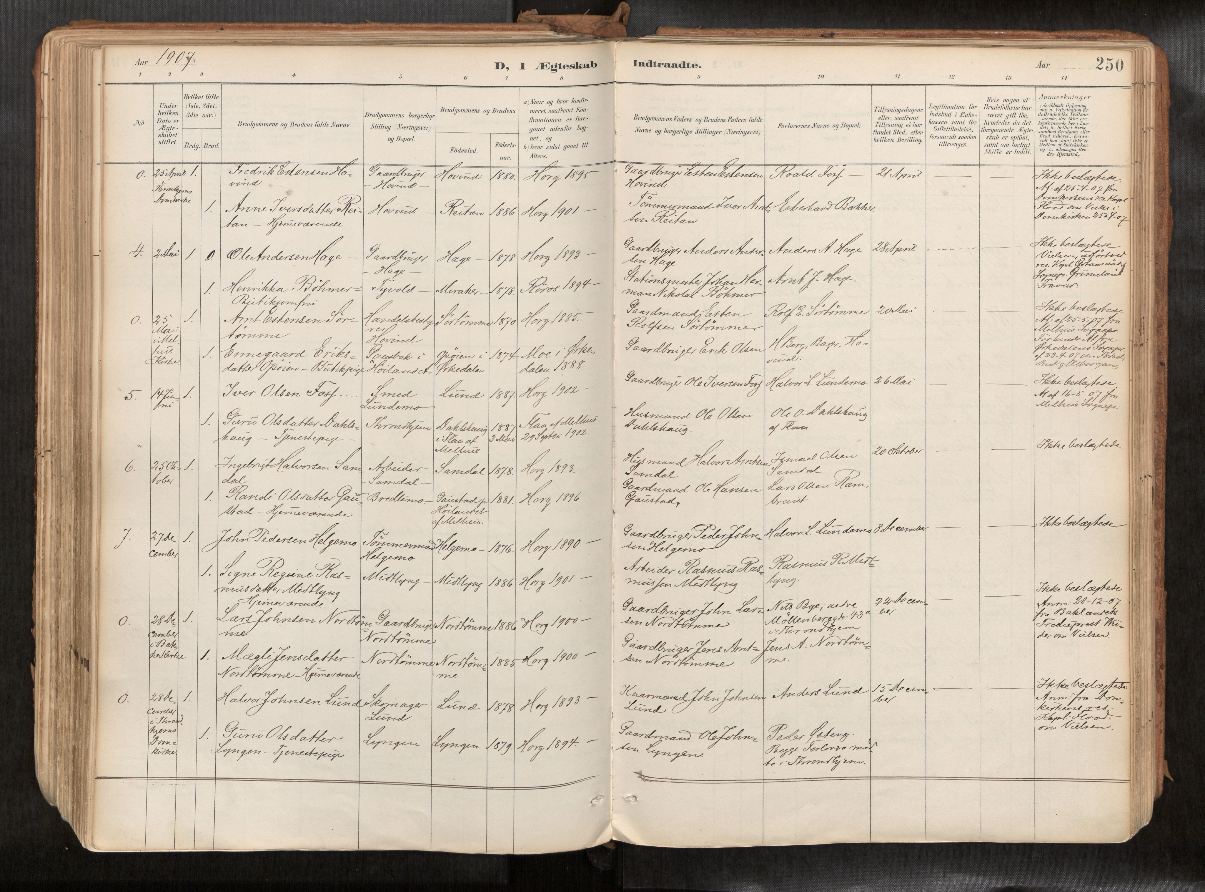 Ministerialprotokoller, klokkerbøker og fødselsregistre - Sør-Trøndelag, AV/SAT-A-1456/692/L1105b: Ministerialbok nr. 692A06, 1891-1934, s. 250