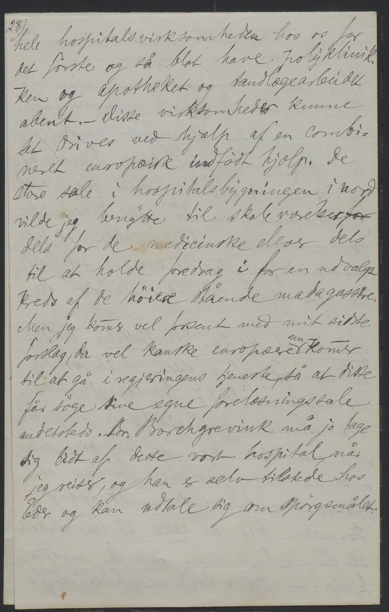 Det Norske Misjonsselskap - hovedadministrasjonen, VID/MA-A-1045/D/Da/Daa/L0036/0011: Konferansereferat og årsberetninger / Konferansereferat fra Madagaskar Innland., 1886, s. 28