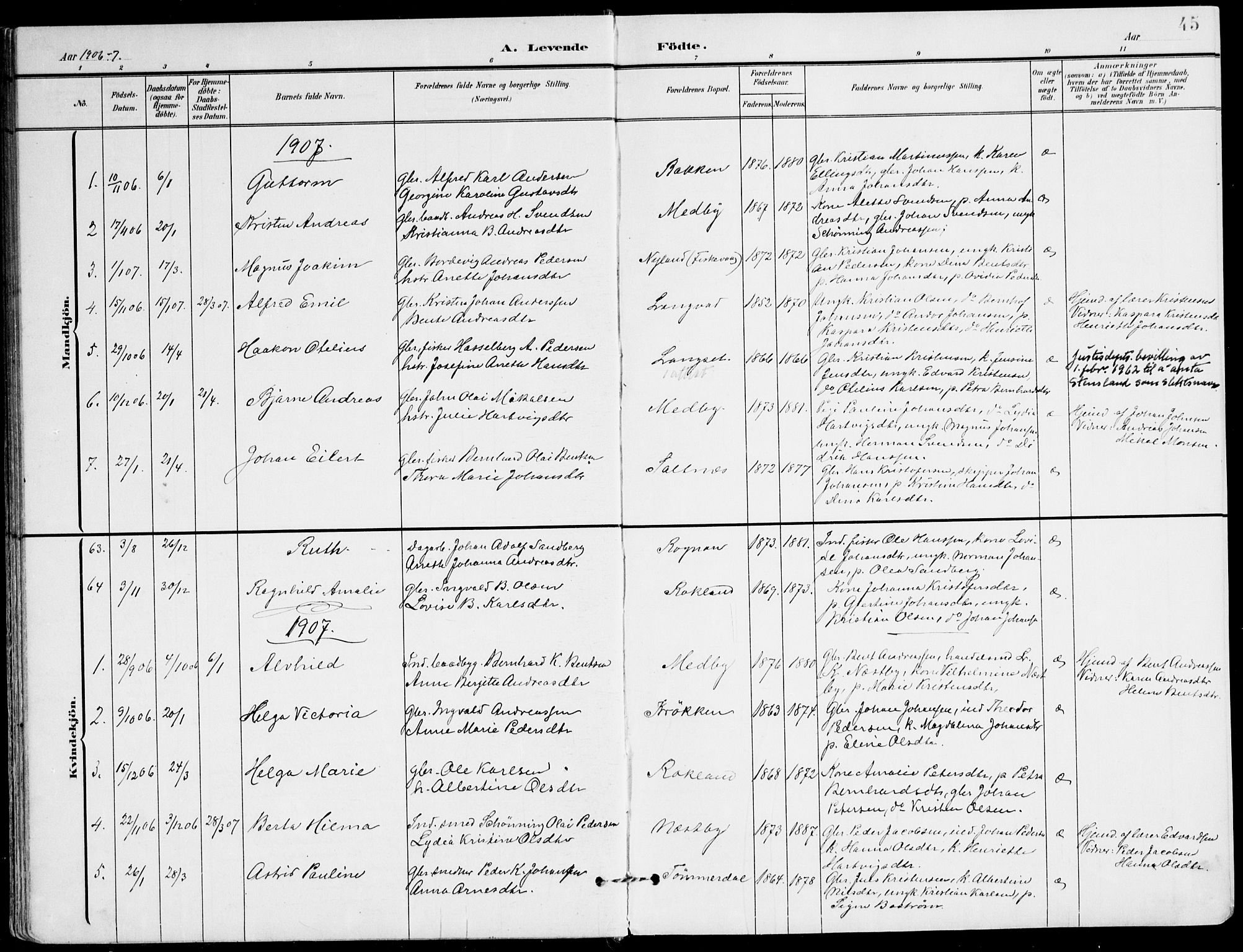 Ministerialprotokoller, klokkerbøker og fødselsregistre - Nordland, AV/SAT-A-1459/847/L0672: Ministerialbok nr. 847A12, 1902-1919, s. 45