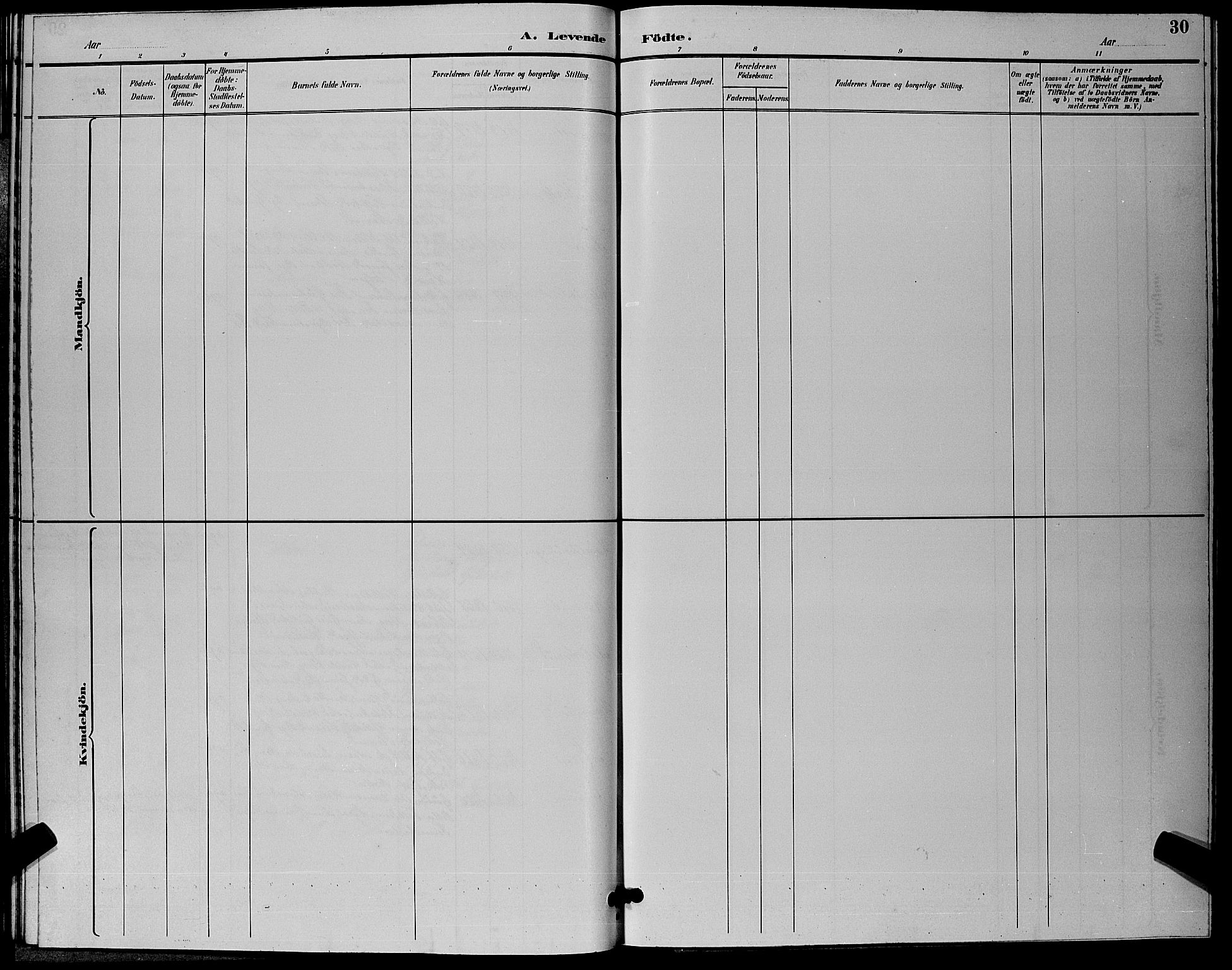 Flesberg kirkebøker, AV/SAKO-A-18/G/Ga/L0004: Klokkerbok nr. I 4 /2, 1890-1898, s. 30