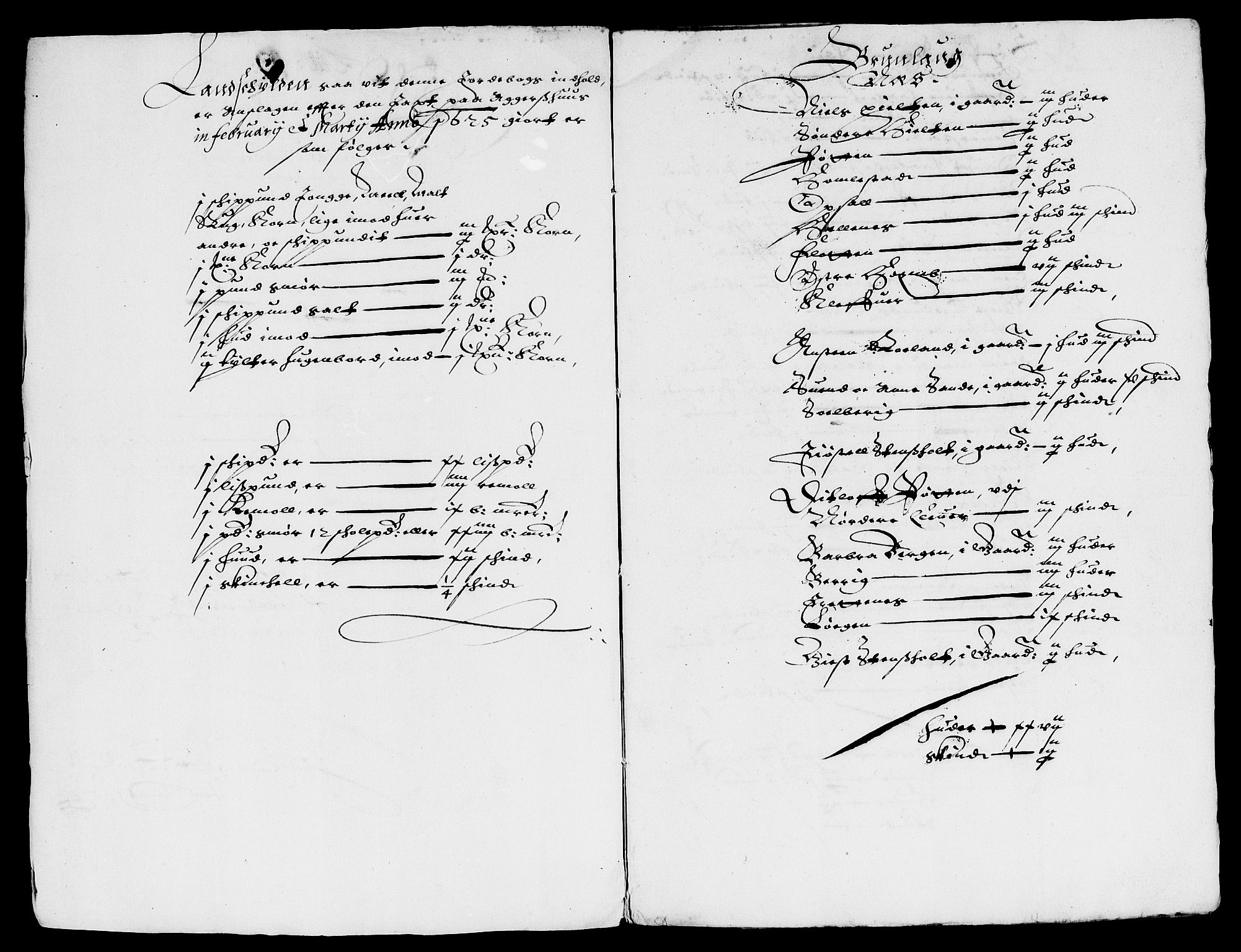 Rentekammeret inntil 1814, Reviderte regnskaper, Lensregnskaper, AV/RA-EA-5023/R/Rb/Rbl/L0009: Brunla len, 1643-1647