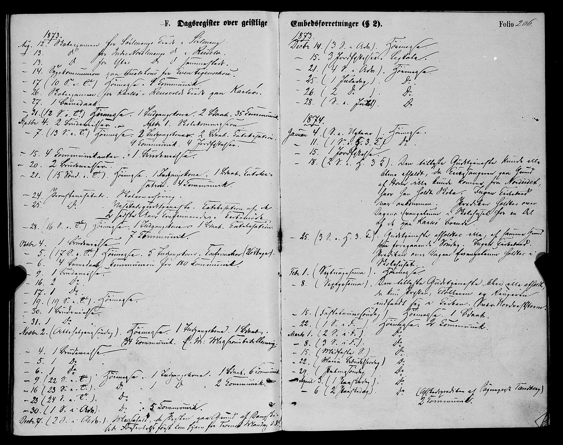 Karlsøy sokneprestembete, AV/SATØ-S-1299/H/Ha/Haa/L0005kirke: Ministerialbok nr. 5, 1872-1878, s. 206