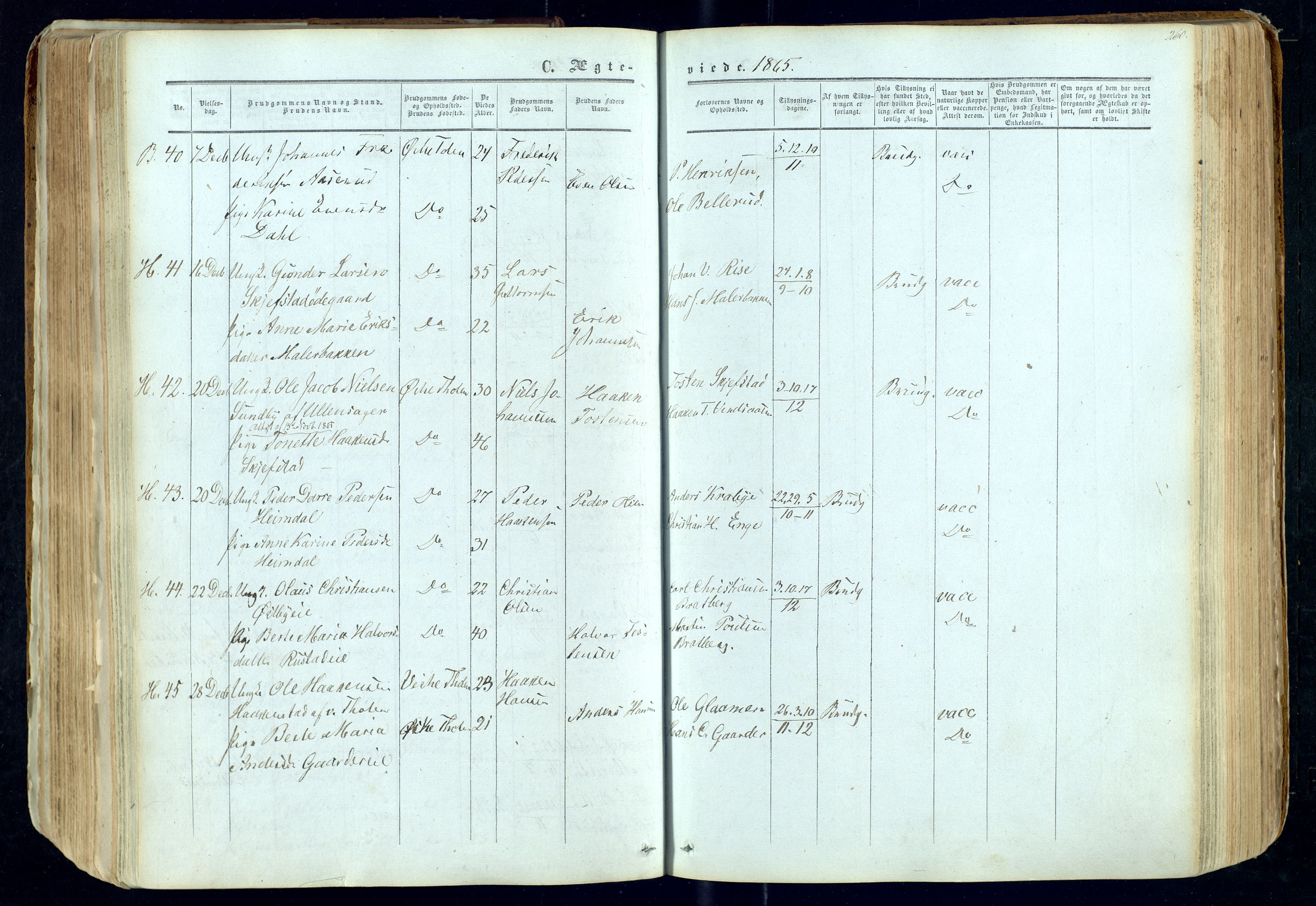 Østre Toten prestekontor, AV/SAH-PREST-104/H/Ha/Haa/L0004: Ministerialbok nr. 4, 1857-1865, s. 260