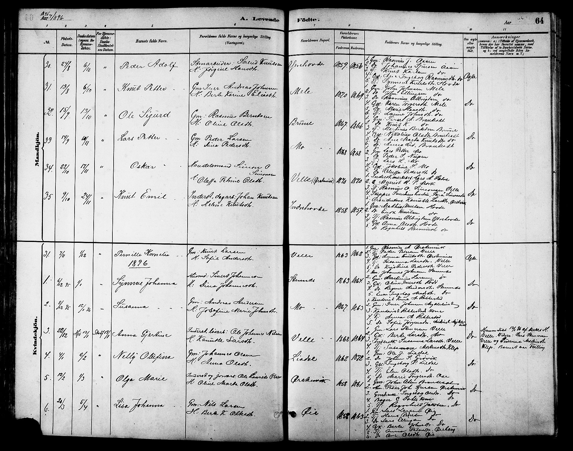 Ministerialprotokoller, klokkerbøker og fødselsregistre - Møre og Romsdal, AV/SAT-A-1454/513/L0189: Klokkerbok nr. 513C03, 1883-1904, s. 64