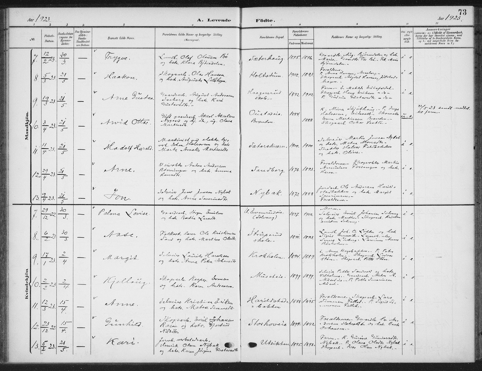 Romedal prestekontor, AV/SAH-PREST-004/K/L0009: Ministerialbok nr. 9, 1906-1929, s. 73