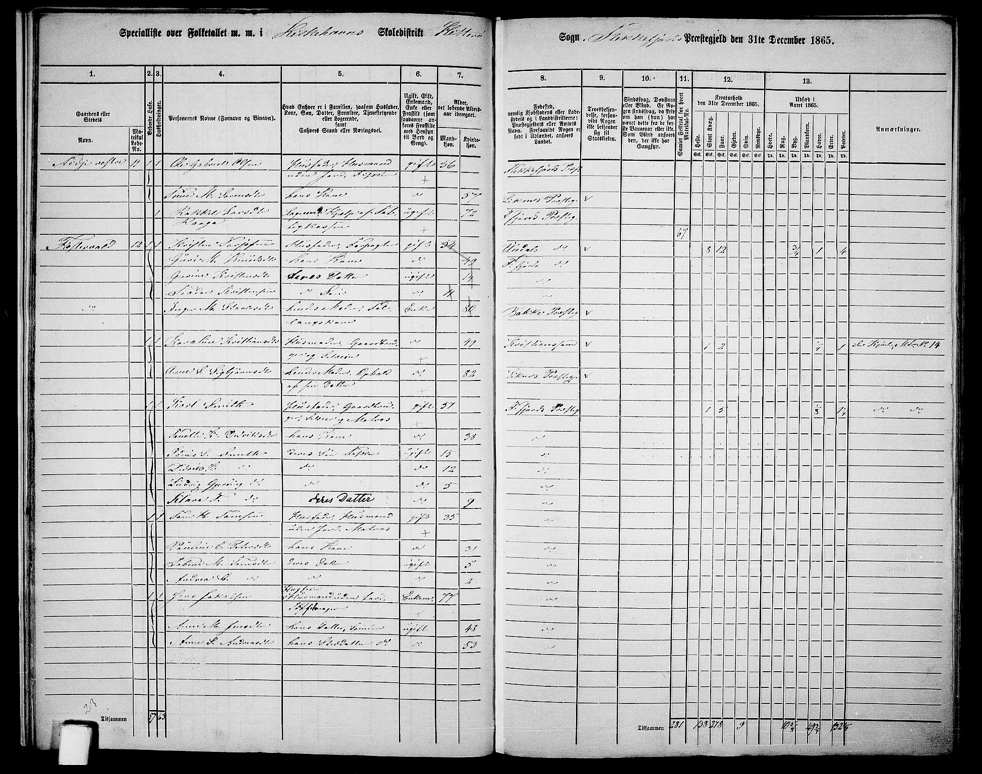 RA, Folketelling 1865 for 1042L Flekkefjord prestegjeld, Nes sokn og Hidra sokn, 1865, s. 20