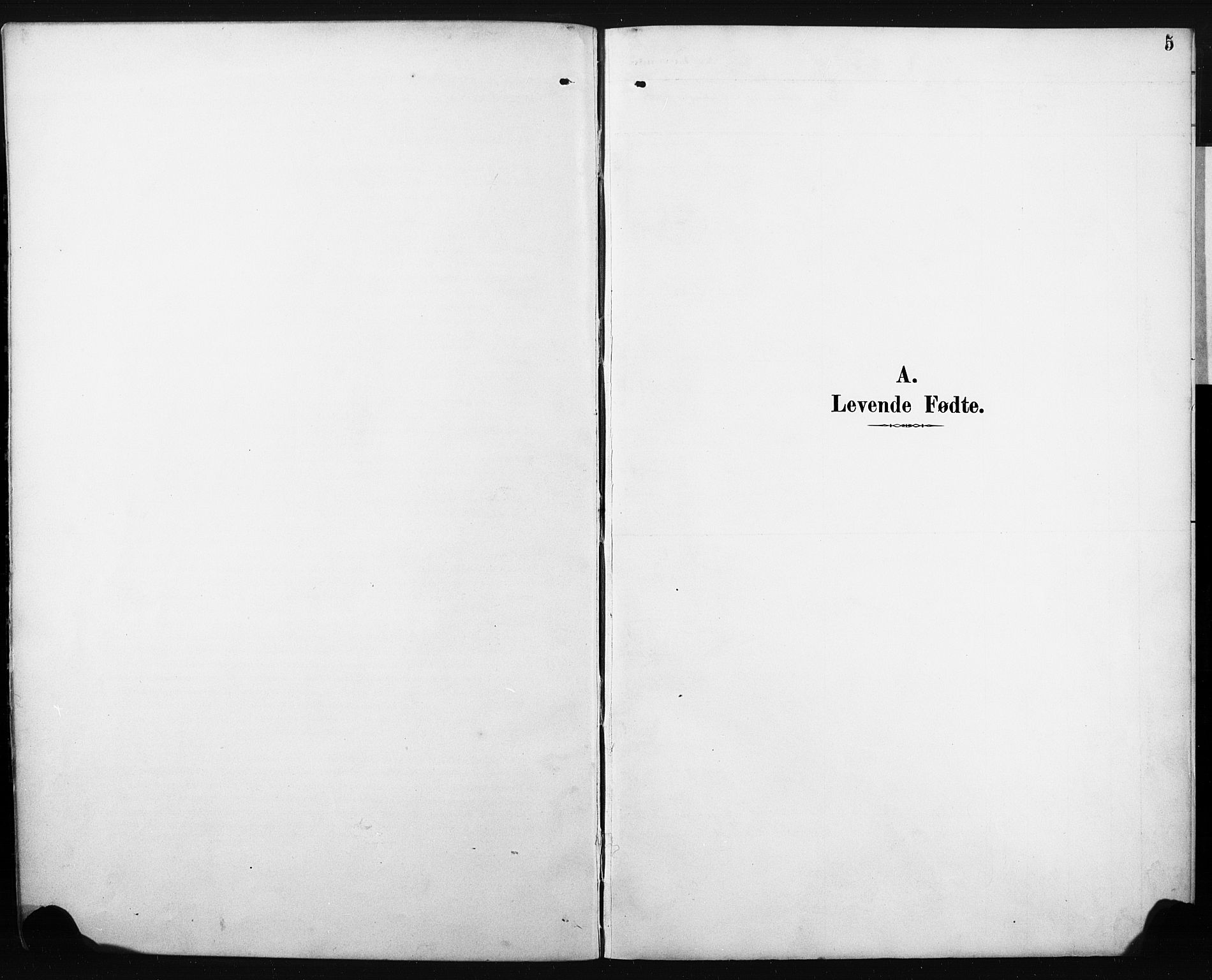 Eiker kirkebøker, SAKO/A-4/F/Fc/L0002: Ministerialbok nr. III 2, 1889-1897, s. 5