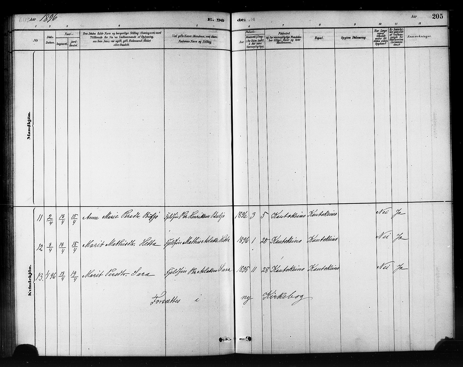 Kautokeino sokneprestembete, AV/SATØ-S-1340/H/Hb/L0002.klokk: Klokkerbok nr. 2, 1877-1896, s. 205