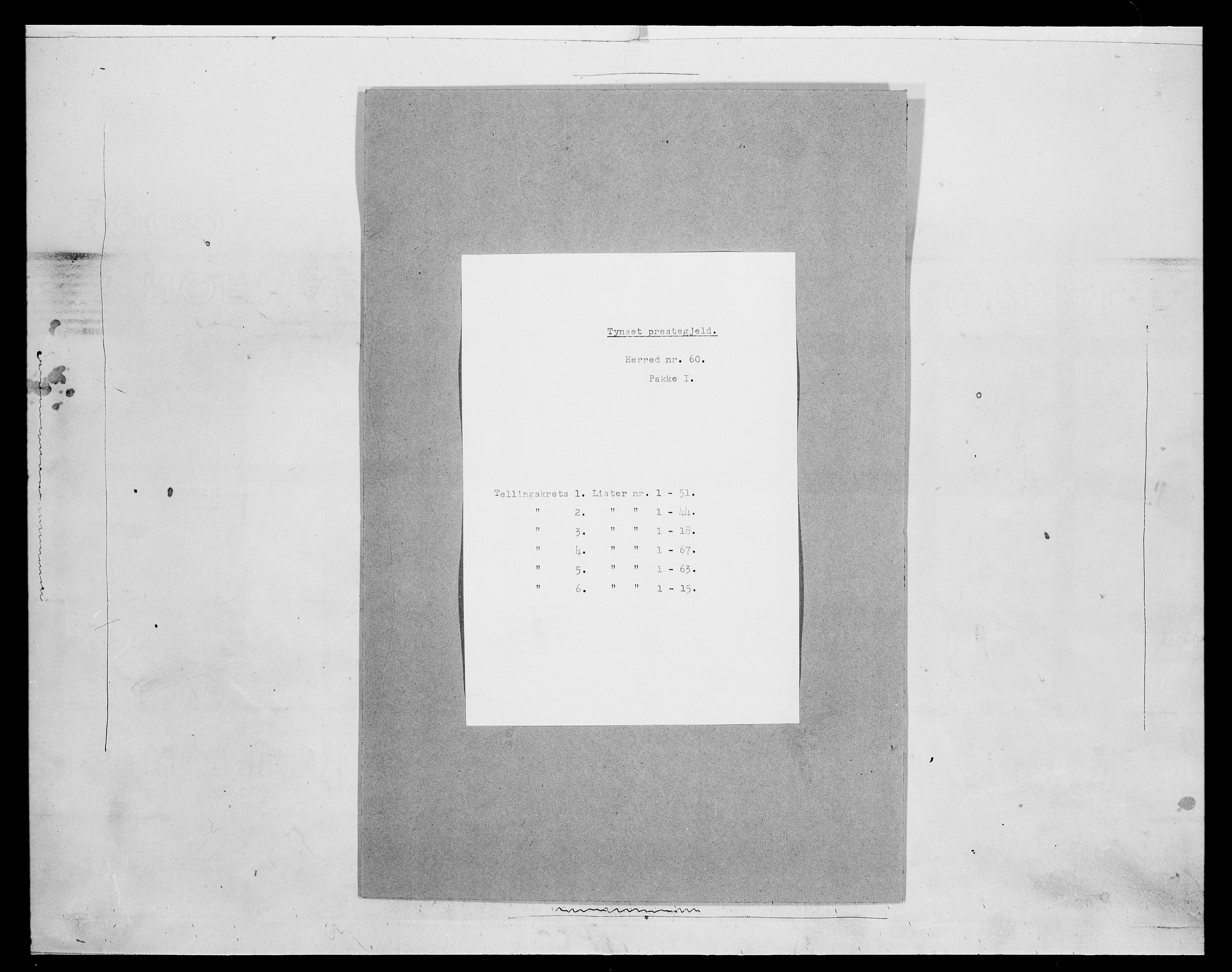 SAH, Folketelling 1875 for 0437P Tynset prestegjeld, 1875, s. 196