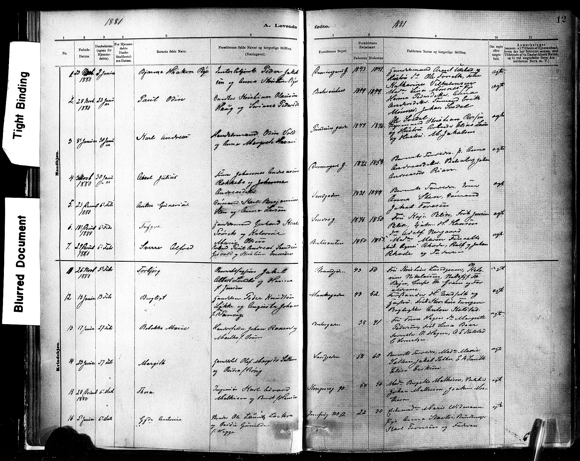Ministerialprotokoller, klokkerbøker og fødselsregistre - Sør-Trøndelag, SAT/A-1456/602/L0119: Ministerialbok nr. 602A17, 1880-1901, s. 12