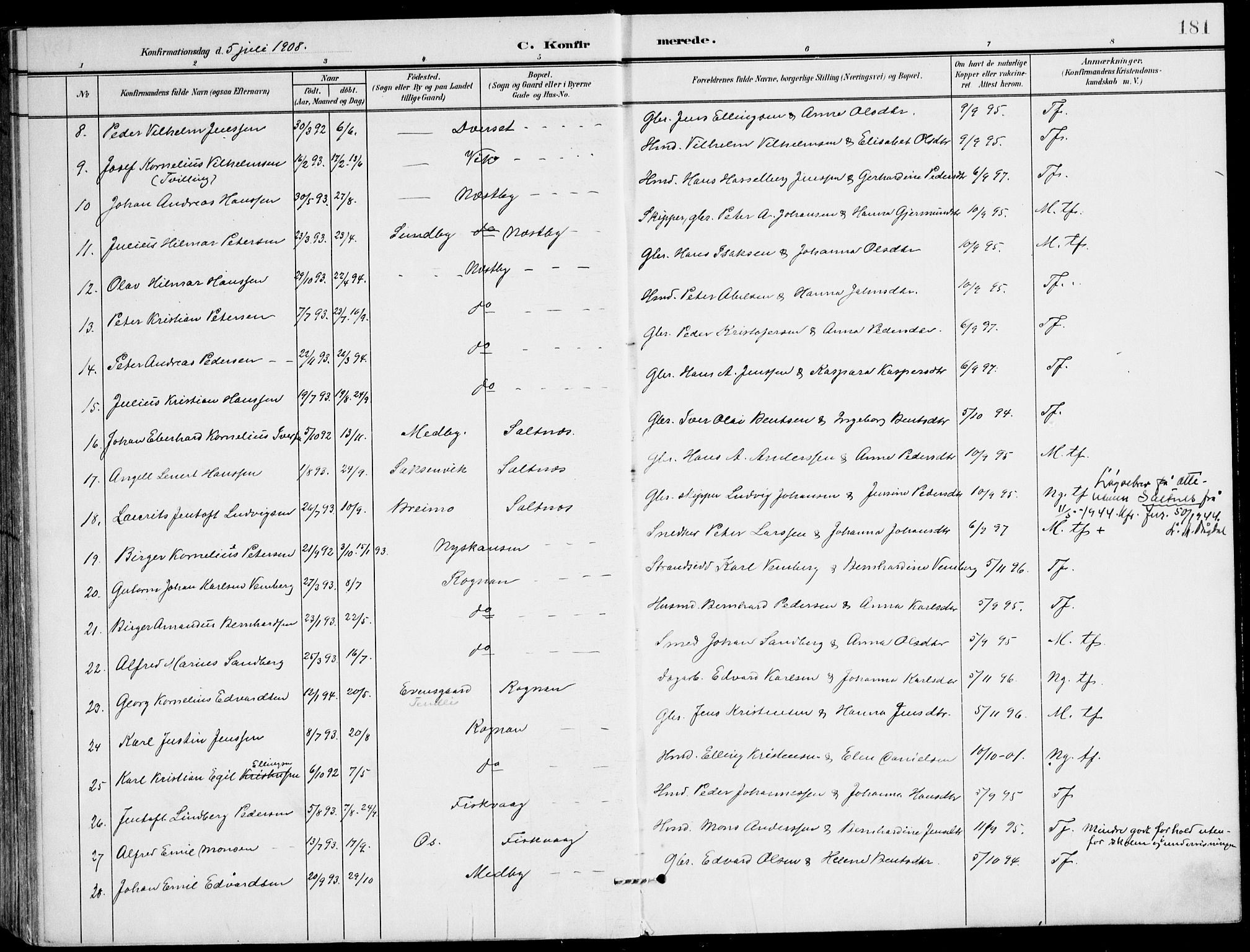 Ministerialprotokoller, klokkerbøker og fødselsregistre - Nordland, AV/SAT-A-1459/847/L0672: Ministerialbok nr. 847A12, 1902-1919, s. 181