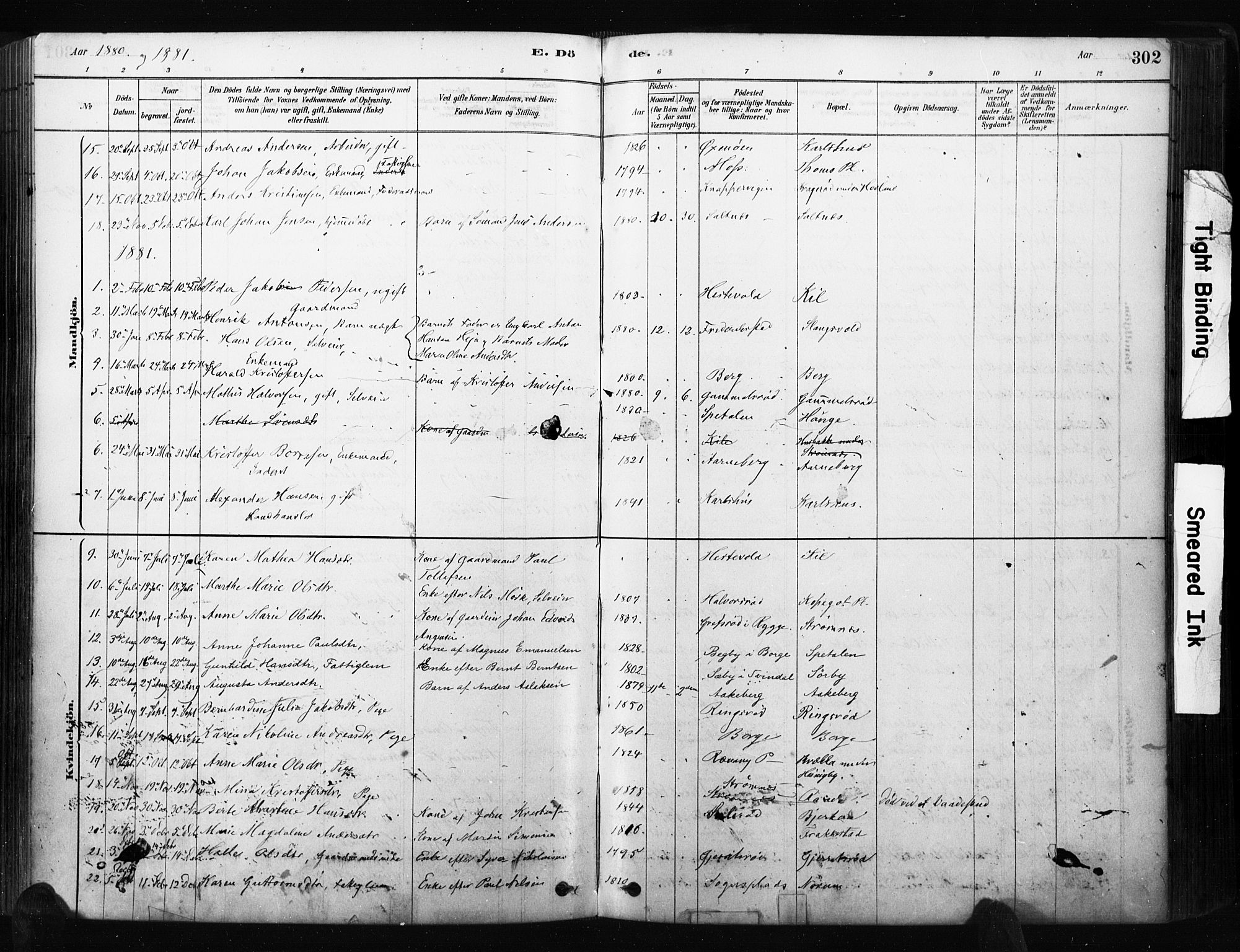 Råde prestekontor kirkebøker, AV/SAO-A-2009/F/Fa/L0007: Ministerialbok nr. 7, 1878-1902, s. 302