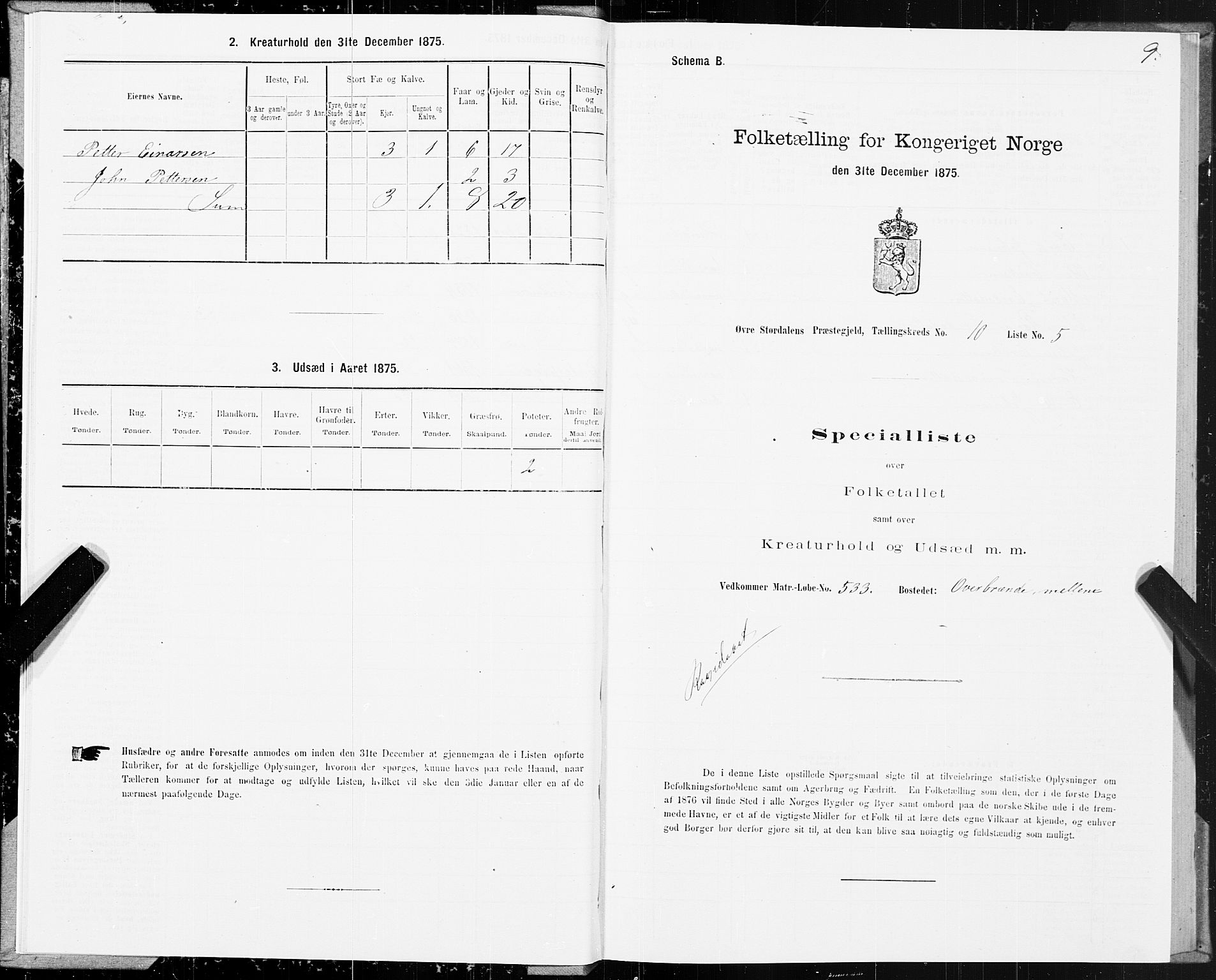 SAT, Folketelling 1875 for 1711P Øvre Stjørdal prestegjeld, 1875, s. 6009