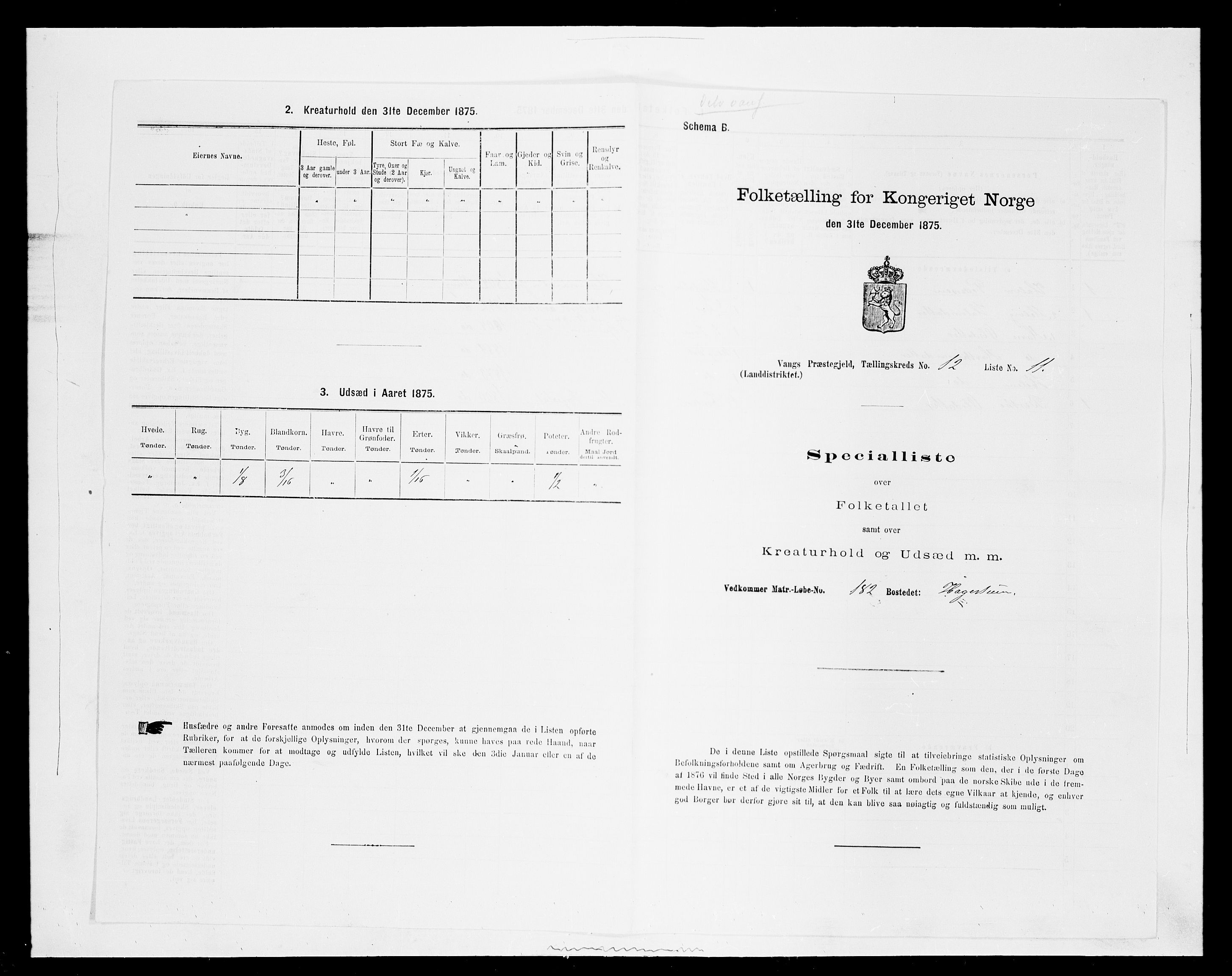 SAH, Folketelling 1875 for 0414L Vang prestegjeld, Vang sokn og Furnes sokn, 1875, s. 2644