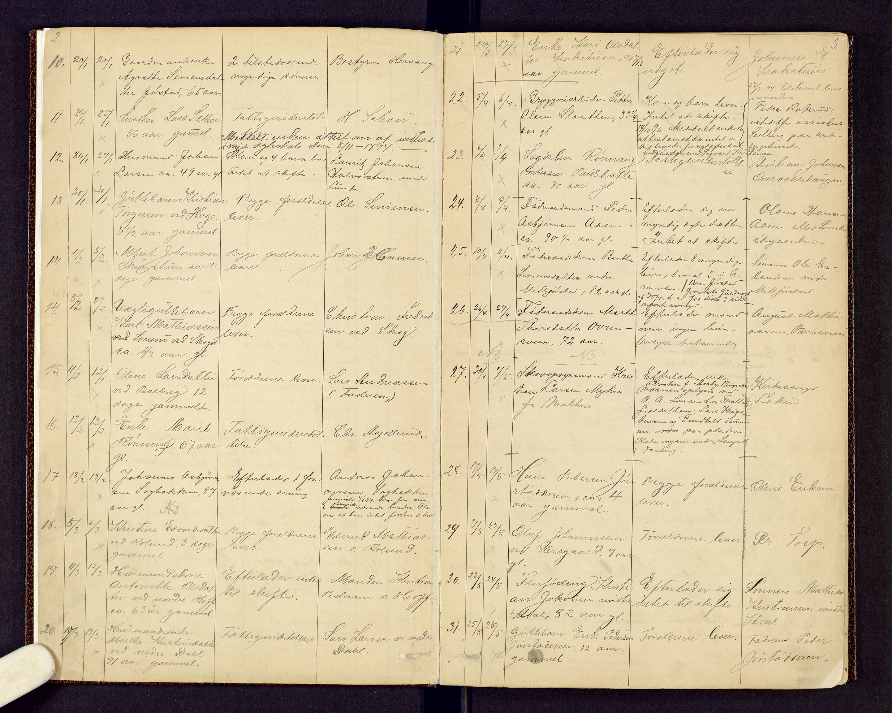 Sør-Gudbrandsdal tingrett, AV/SAH-TING-004/J/Jd/Jda/L0003: Dødsfallsprotokoll - Fåberg og Gausdal, 1894-1909, s. 2-3