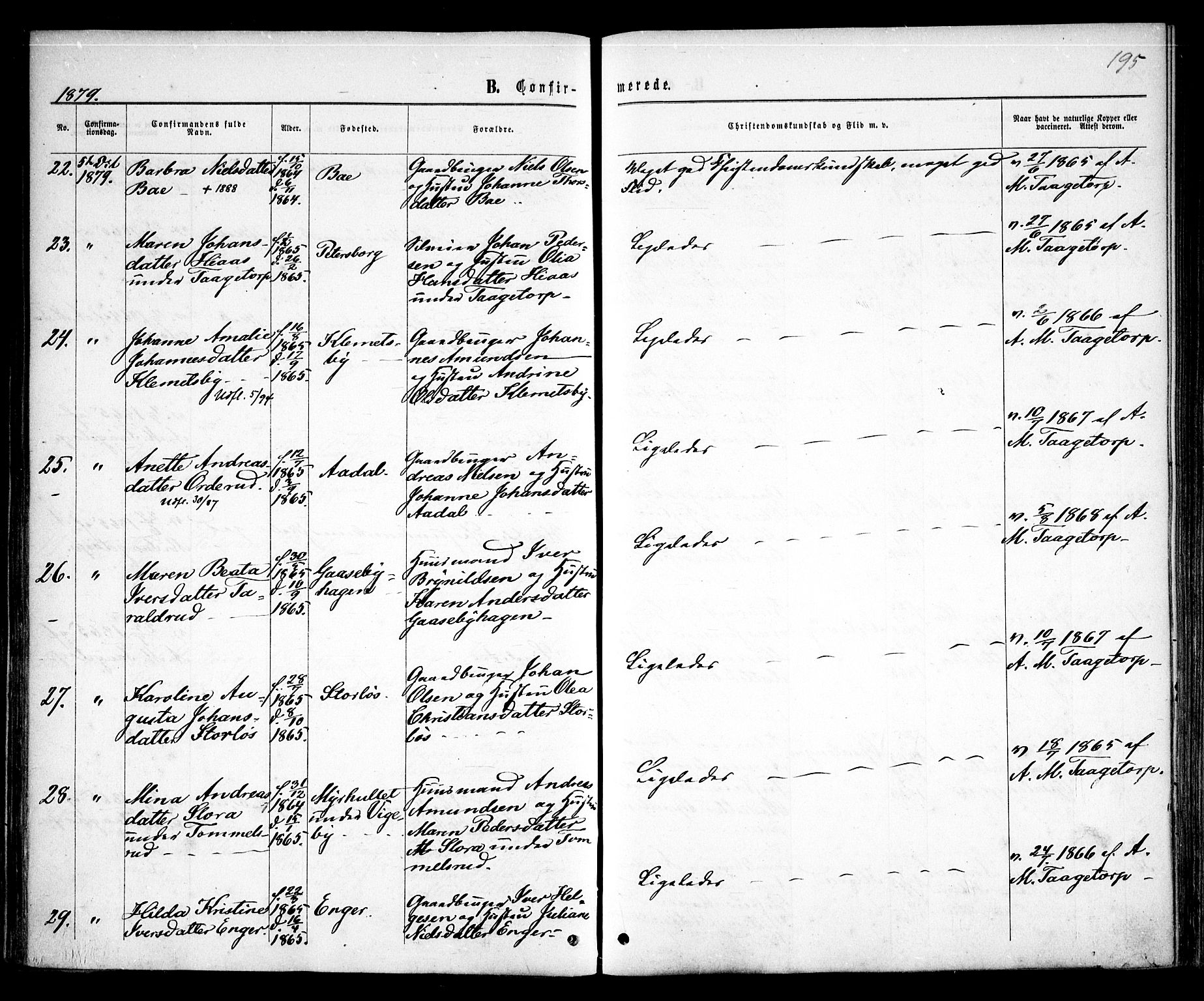 Rødenes prestekontor Kirkebøker, AV/SAO-A-2005/F/Fa/L0008: Ministerialbok nr. I 8, 1869-1879, s. 195