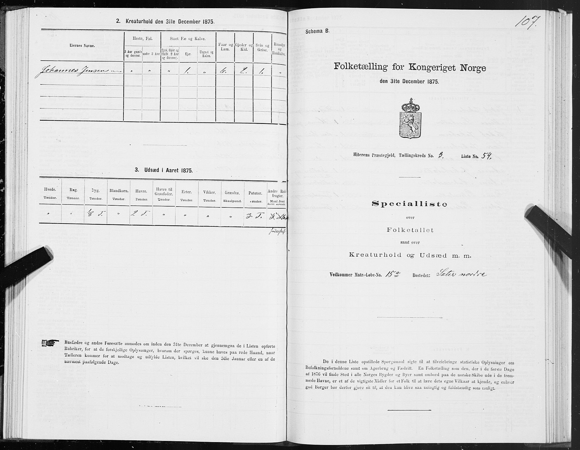 SAT, Folketelling 1875 for 1617P Hitra prestegjeld, 1875, s. 2107