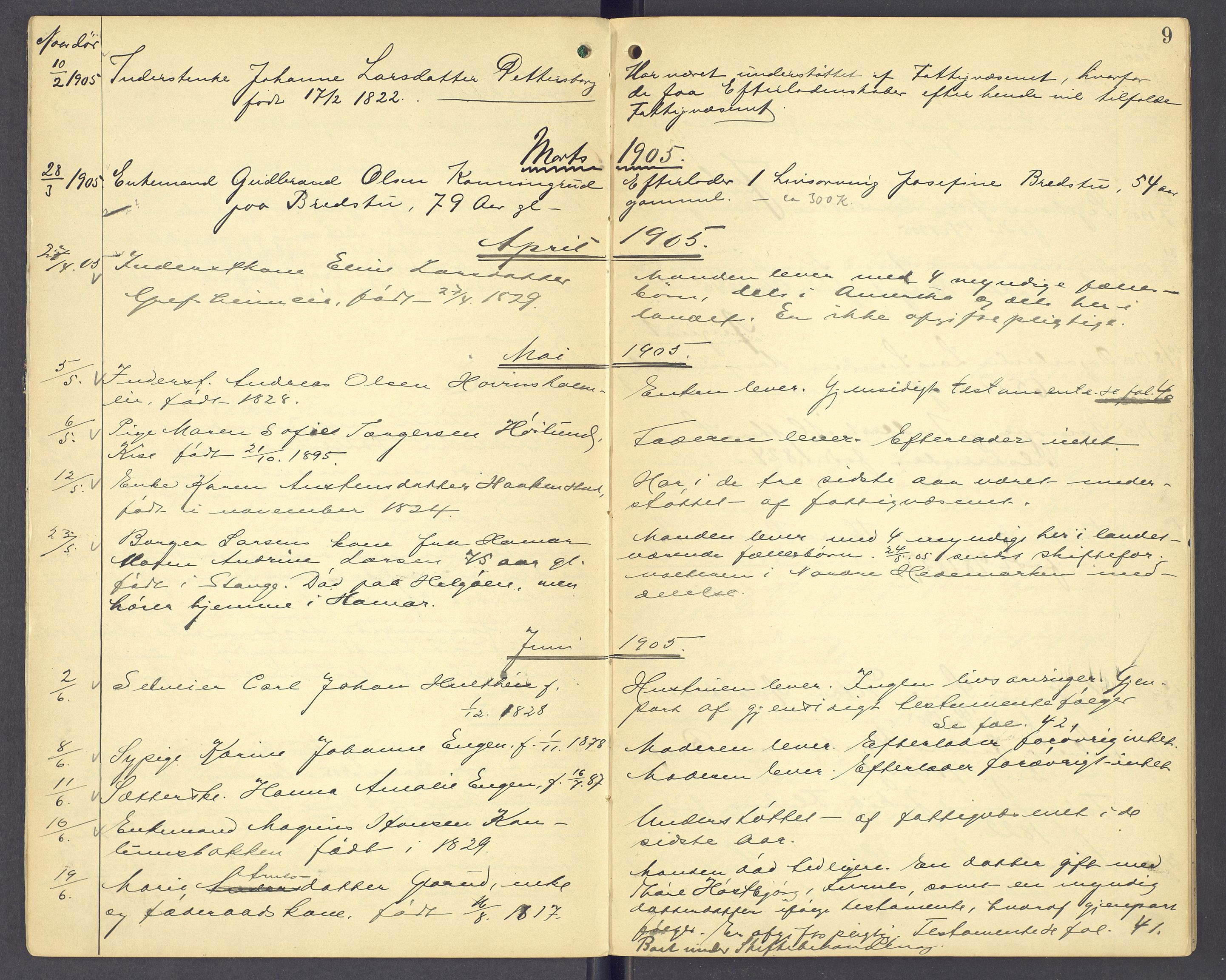 Nord-Hedmark sorenskriveri, AV/SAH-TING-012/J/Ji/L0005: Dødsfallsprotokoll - Nes, 1903-1910, s. 9