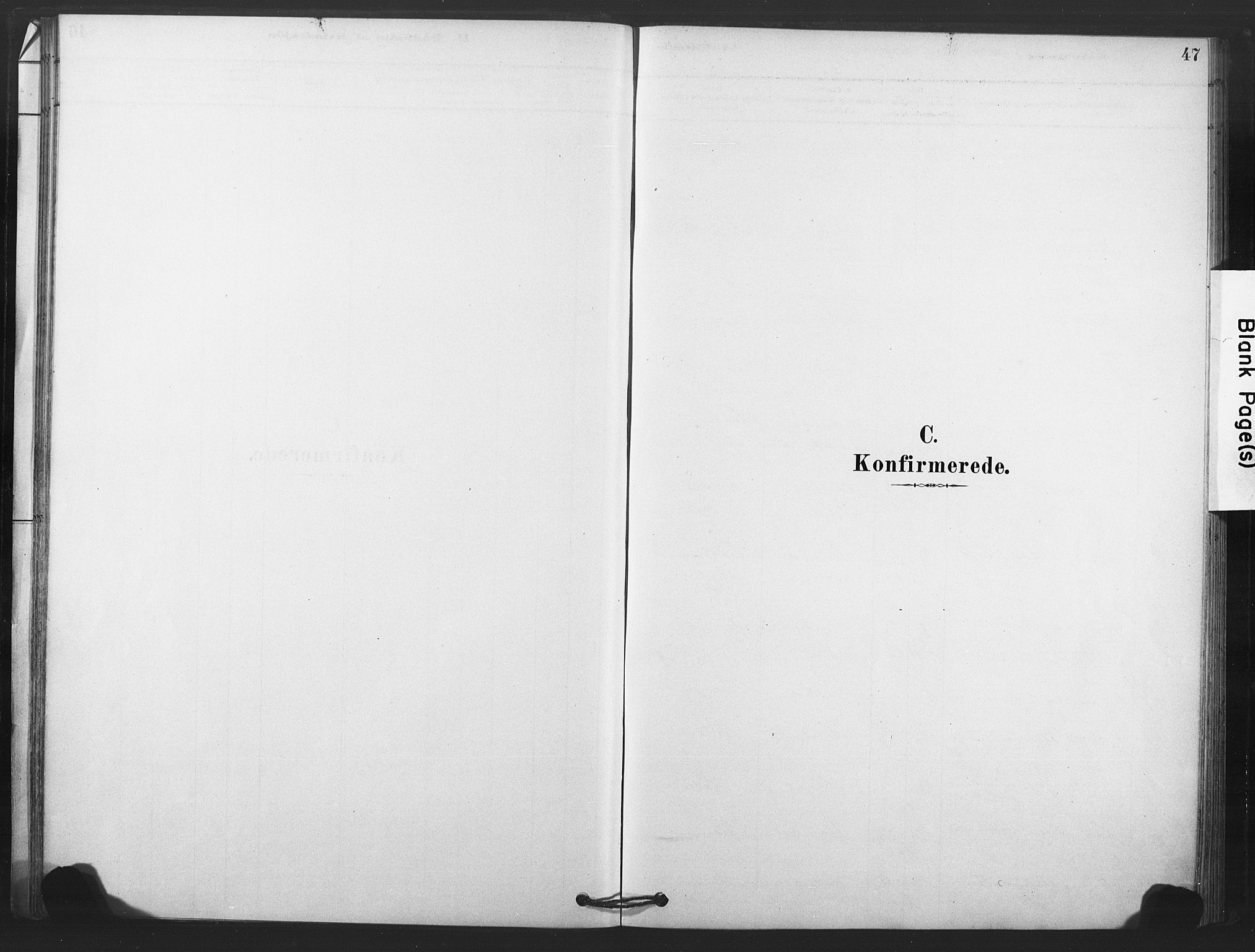 Rollag kirkebøker, SAKO/A-240/F/Fb/L0001: Ministerialbok nr. II 1, 1878-1899, s. 47