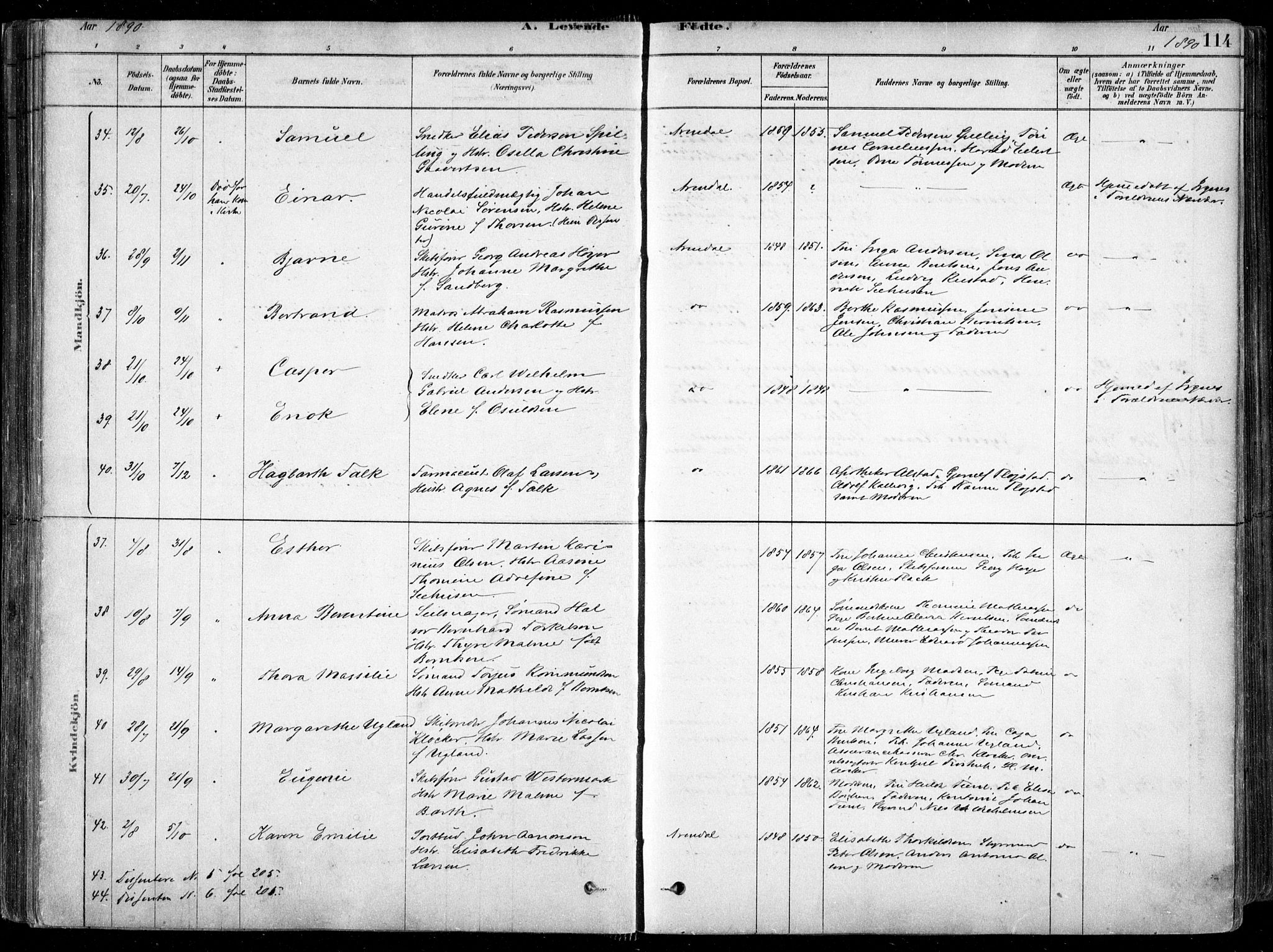 Arendal sokneprestkontor, Trefoldighet, SAK/1111-0040/F/Fa/L0008: Ministerialbok nr. A 8, 1878-1899, s. 114