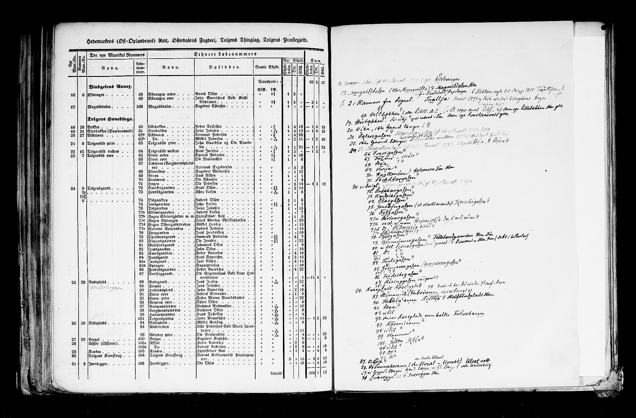 Rygh, AV/RA-PA-0034/F/Fb/L0003: Matrikkelen for 1838 - Hedemarken amt (Hedmark fylke), 1838