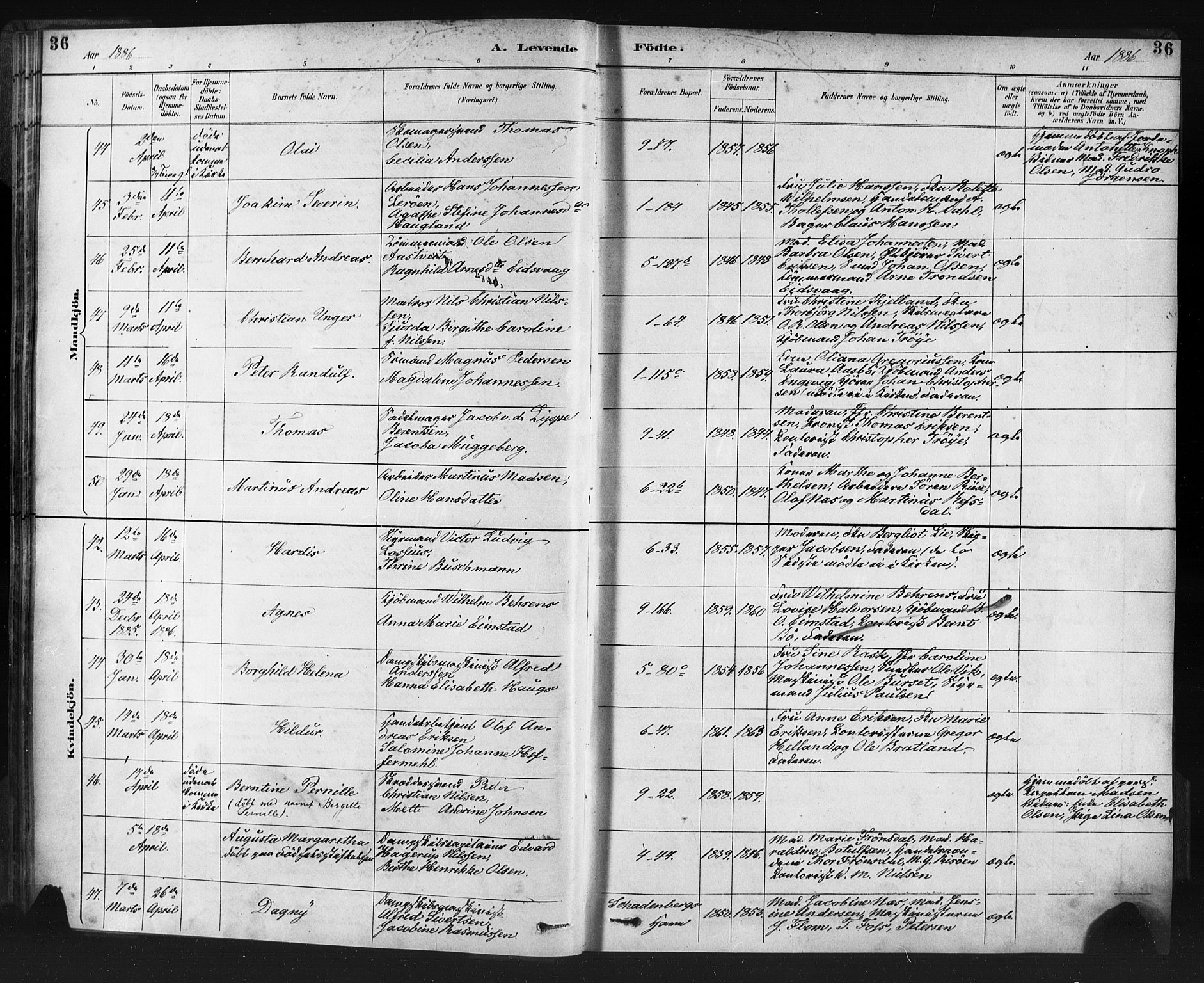 Nykirken Sokneprestembete, AV/SAB-A-77101/H/Haa: Ministerialbok nr. B 5, 1885-1894, s. 36