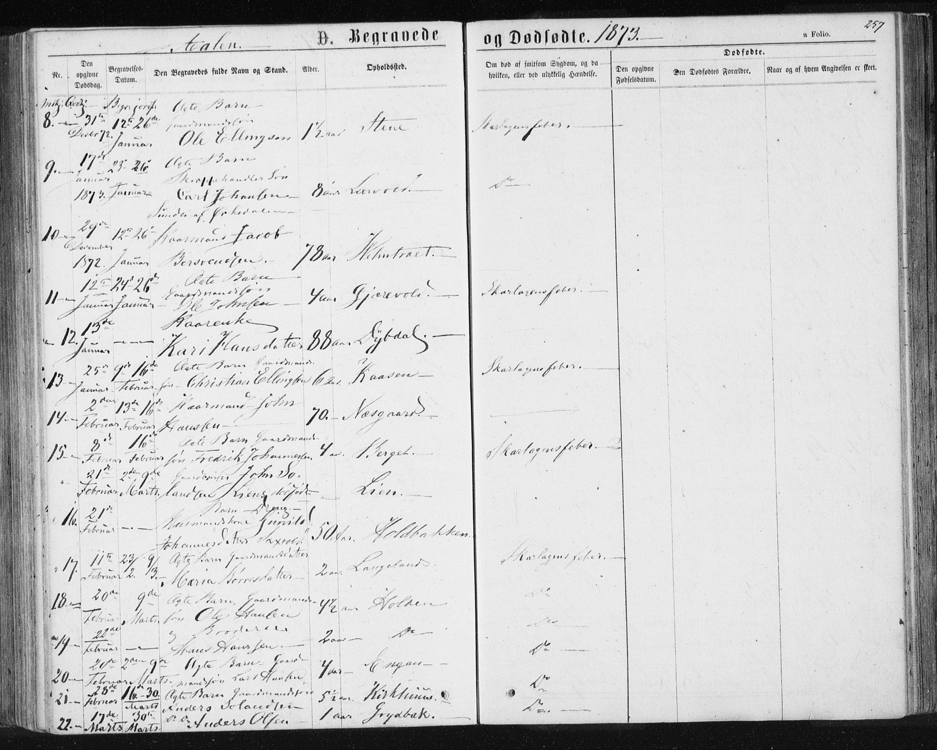 Ministerialprotokoller, klokkerbøker og fødselsregistre - Sør-Trøndelag, SAT/A-1456/685/L0971: Ministerialbok nr. 685A08 /3, 1870-1879, s. 257