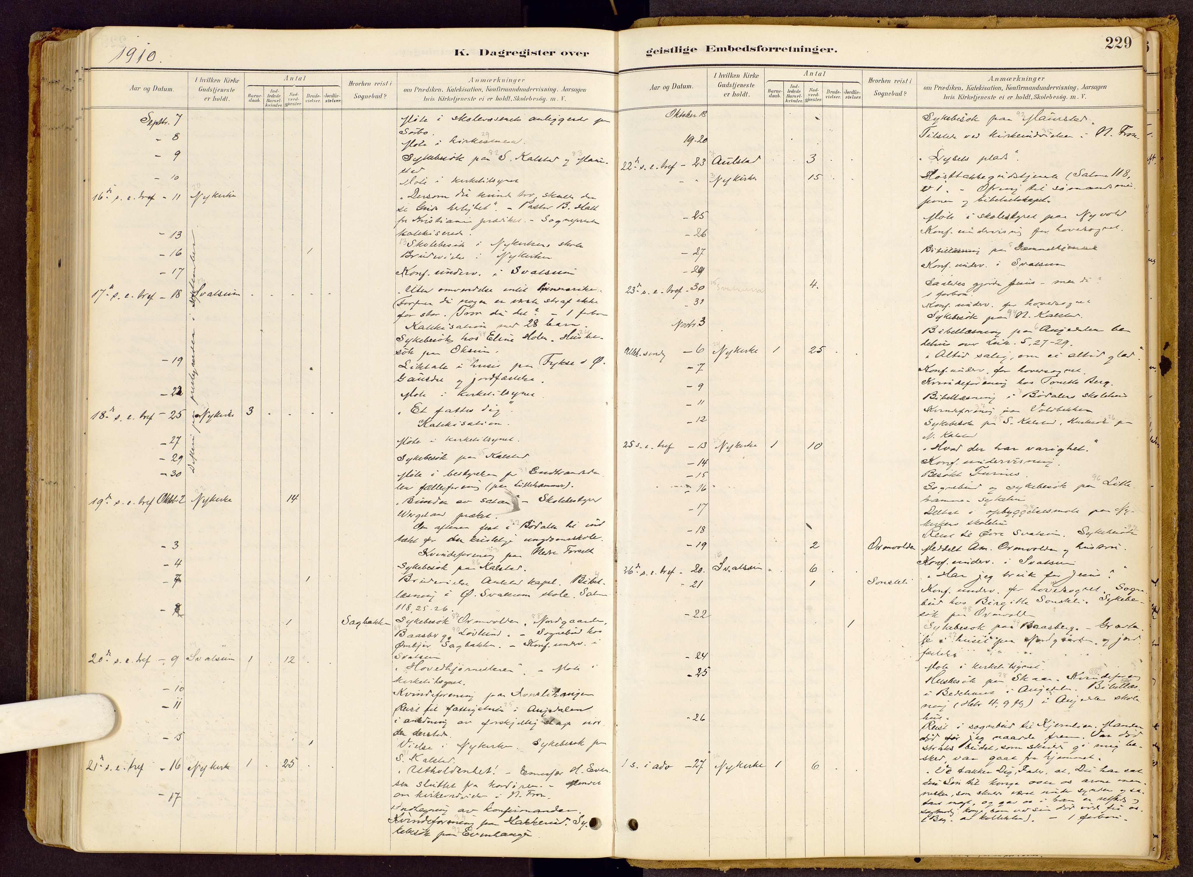 Vestre Gausdal prestekontor, SAH/PREST-094/H/Ha/Haa/L0002: Ministerialbok nr. 2, 1887-1918, s. 229