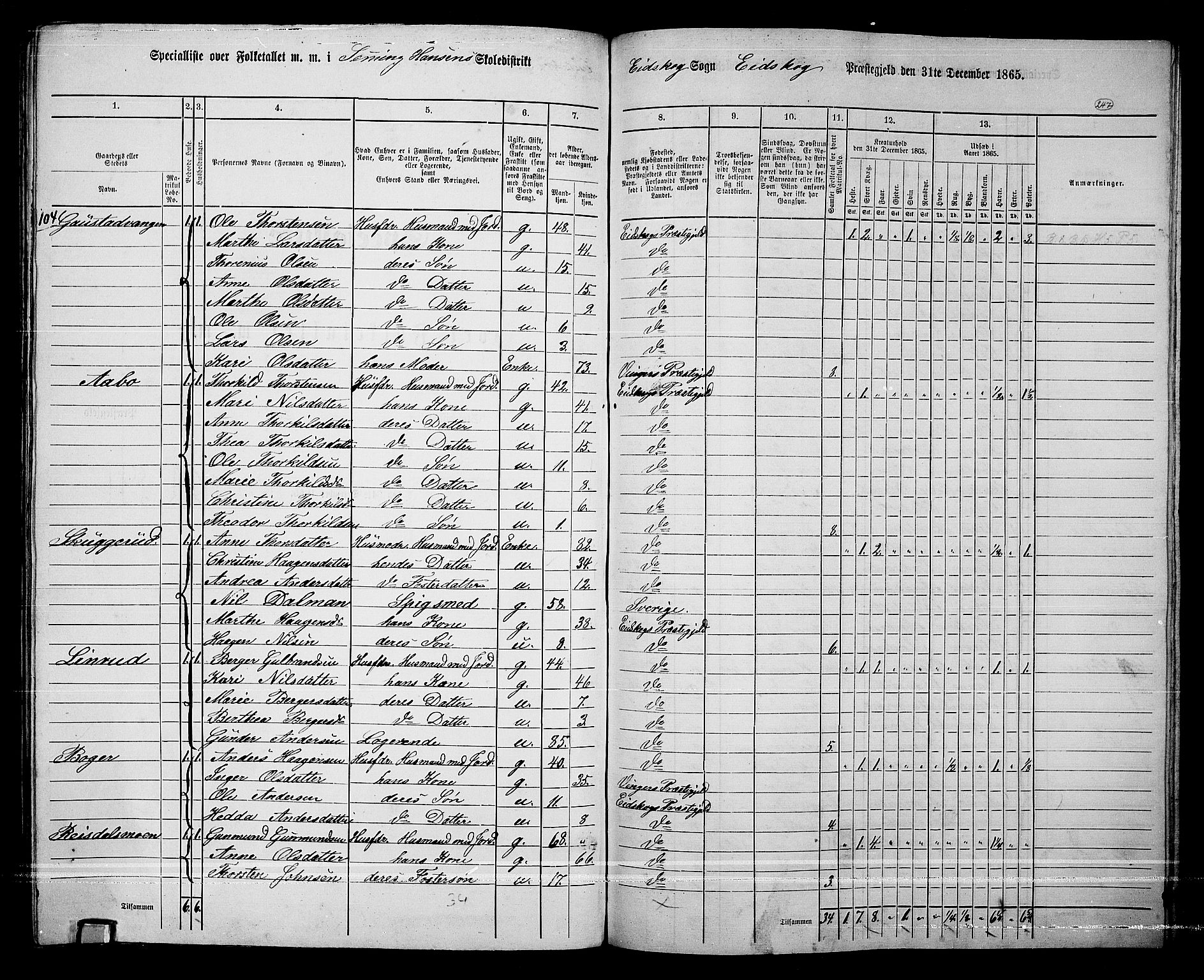 RA, Folketelling 1865 for 0420P Eidskog prestegjeld, 1865, s. 223