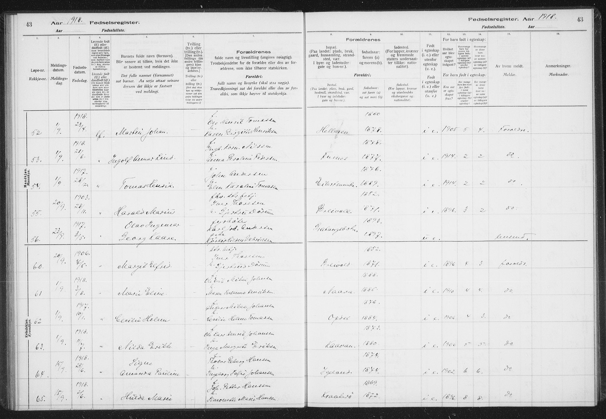 Ibestad sokneprestembete, SATØ/S-0077/I/Ic/L0061: Fødselsregister nr. 61, 1917-1929, s. 43