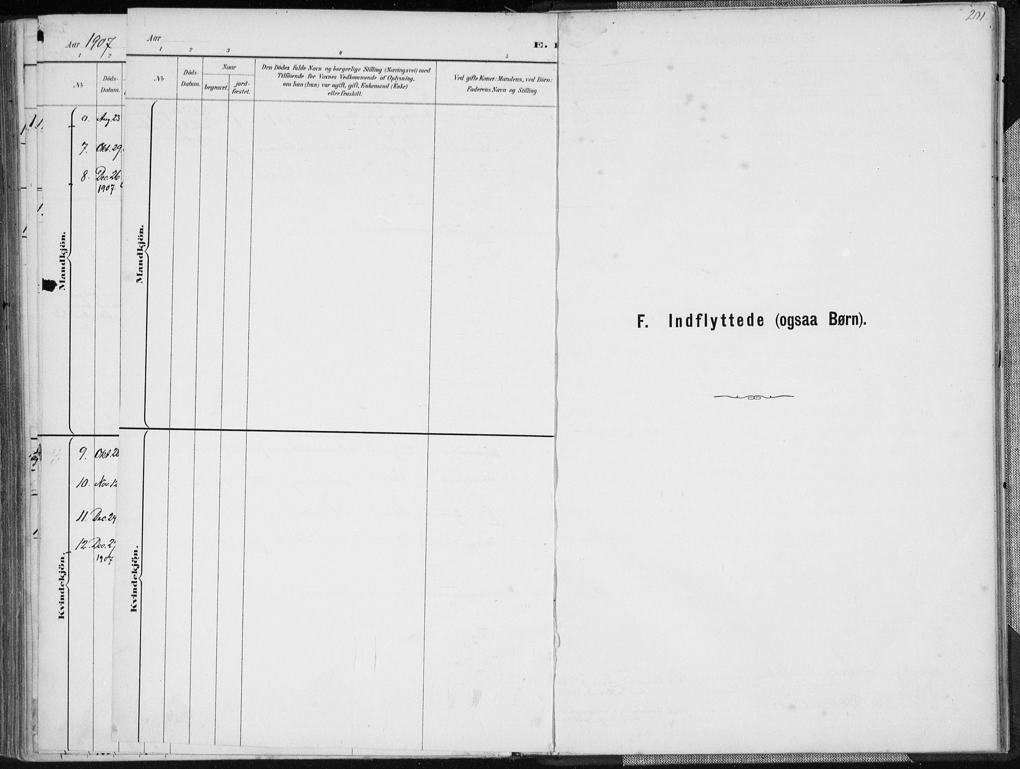 Holum sokneprestkontor, SAK/1111-0022/F/Fa/Faa/L0007: Ministerialbok nr. A 7, 1884-1907, s. 201