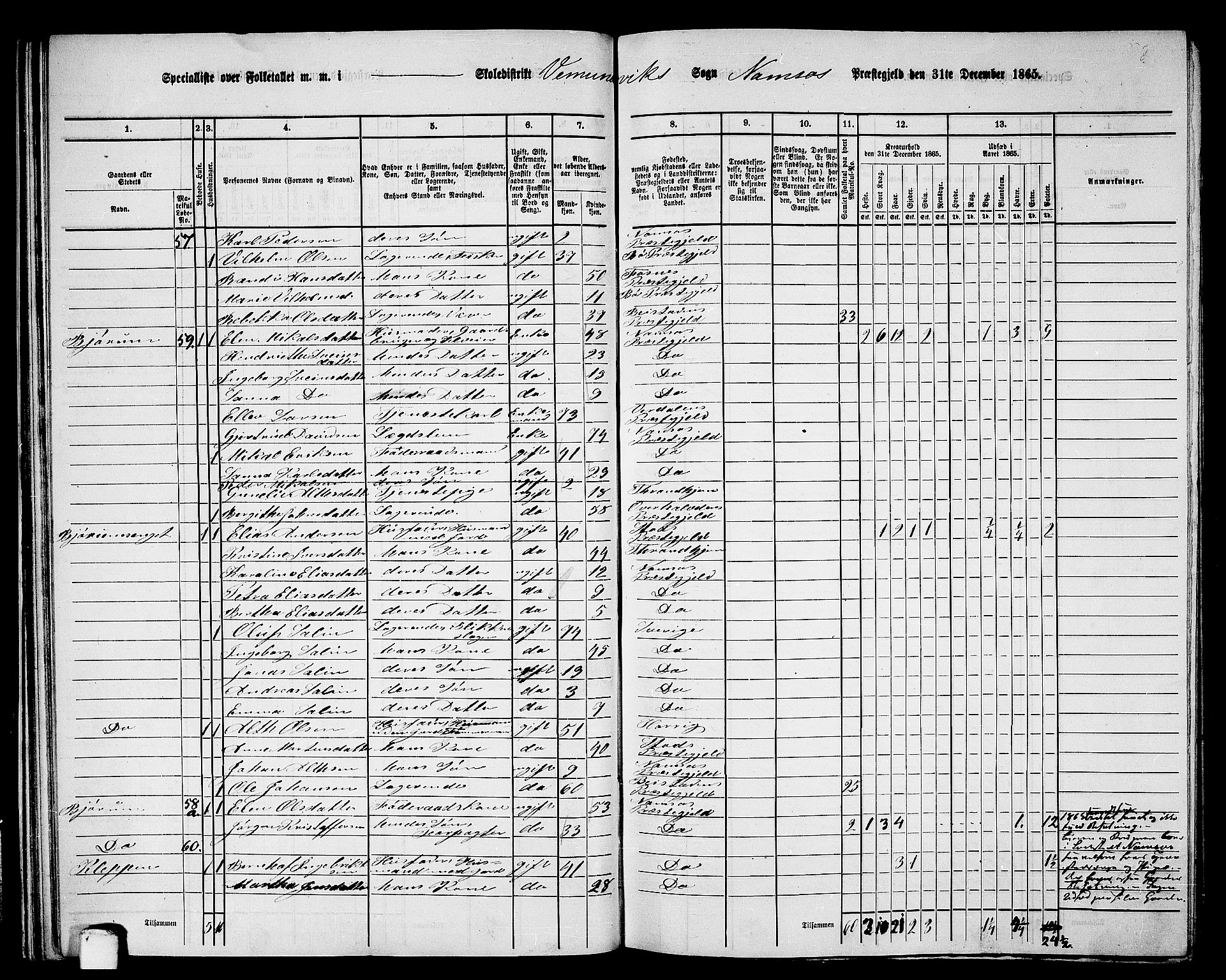 RA, Folketelling 1865 for 1745L Namsos prestegjeld, Vemundvik sokn og Sævik sokn, 1865, s. 39