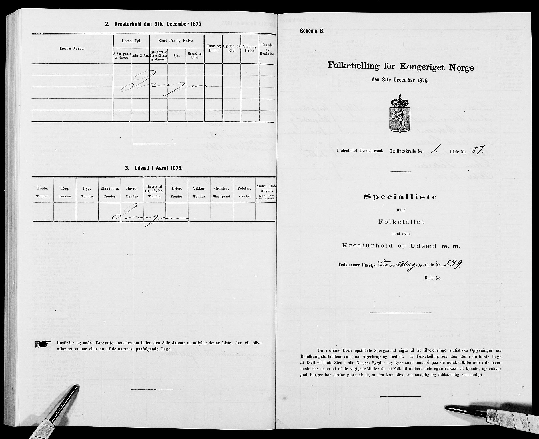 SAK, Folketelling 1875 for 0902B Holt prestegjeld, Tvedestrand ladested, 1875, s. 188
