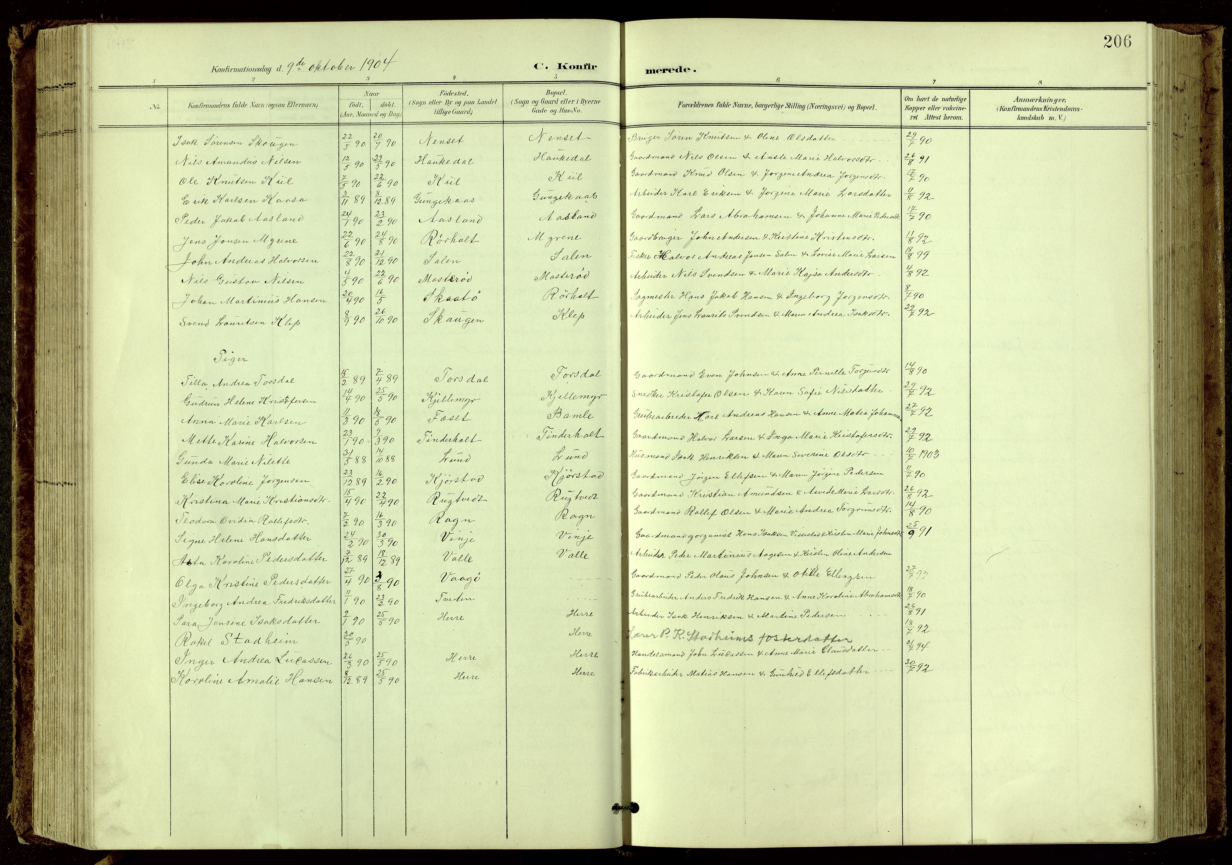 Bamble kirkebøker, SAKO/A-253/G/Ga/L0010: Klokkerbok nr. I 10, 1901-1919, s. 206