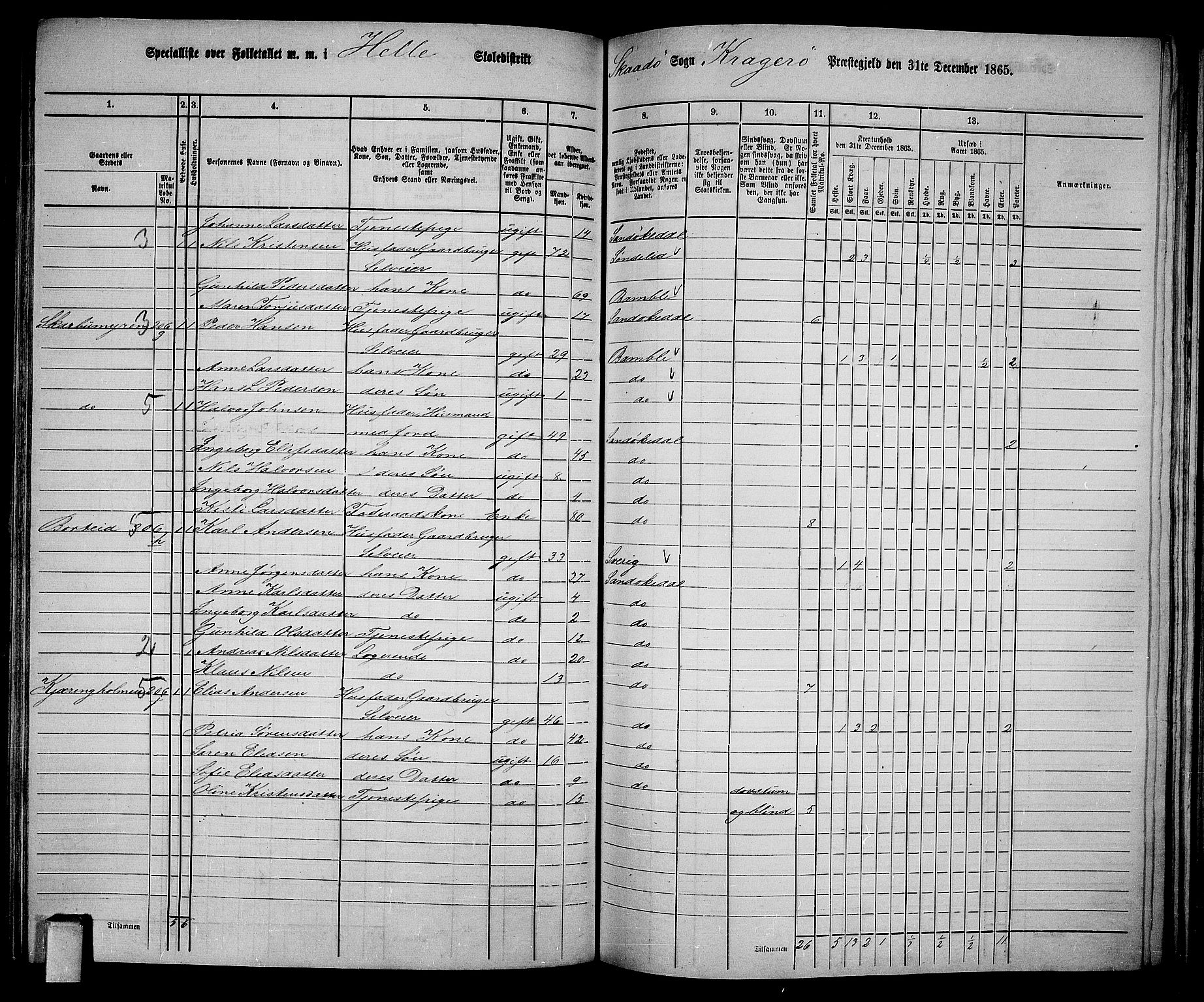 RA, Folketelling 1865 for 0816L Kragerø prestegjeld, Sannidal sokn og Skåtøy sokn, 1865, s. 155