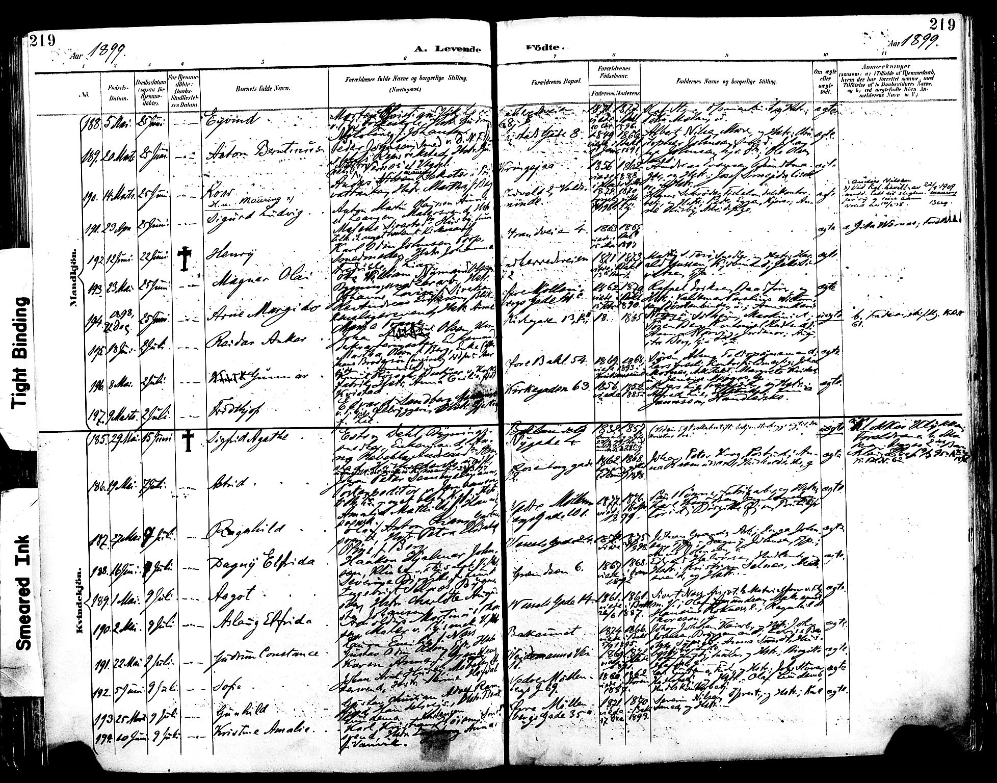 Ministerialprotokoller, klokkerbøker og fødselsregistre - Sør-Trøndelag, SAT/A-1456/604/L0197: Ministerialbok nr. 604A18, 1893-1900, s. 219