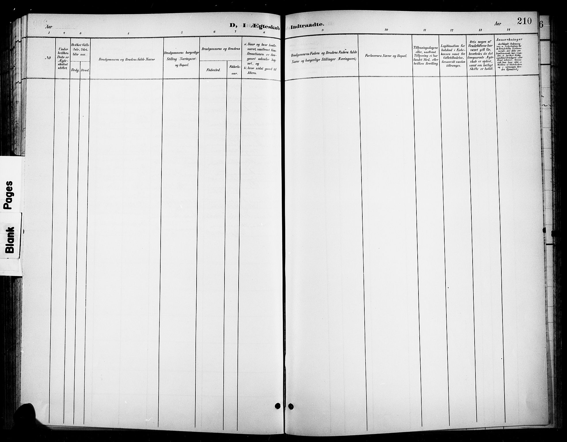 Ringebu prestekontor, SAH/PREST-082/H/Ha/Hab/L0009: Klokkerbok nr. 9, 1899-1921, s. 210