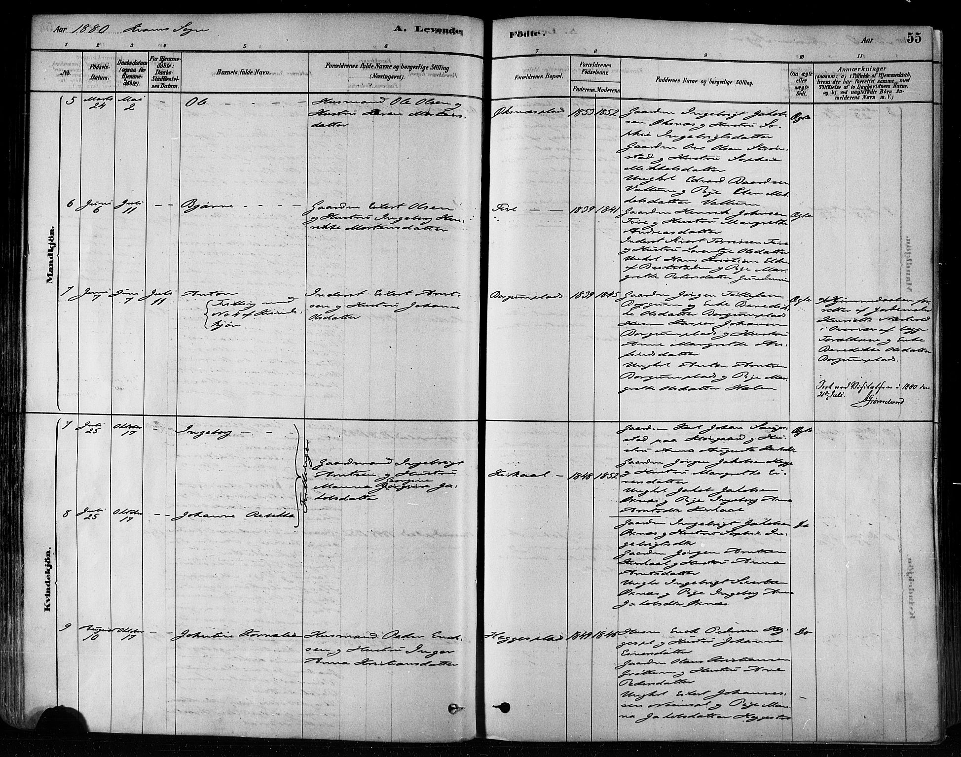 Ministerialprotokoller, klokkerbøker og fødselsregistre - Nord-Trøndelag, SAT/A-1458/746/L0449: Ministerialbok nr. 746A07 /2, 1878-1899, s. 55