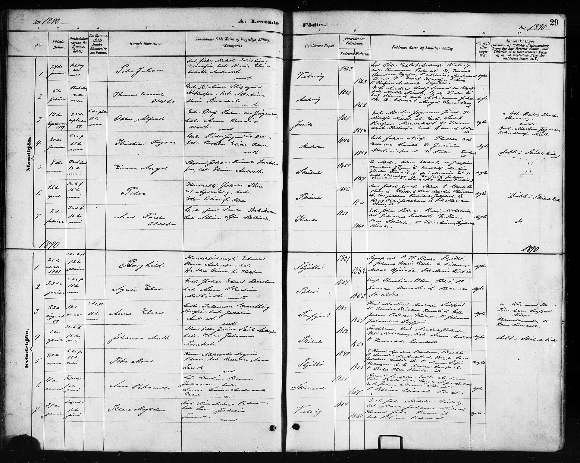 Ministerialprotokoller, klokkerbøker og fødselsregistre - Nordland, SAT/A-1459/817/L0268: Klokkerbok nr. 817C03, 1884-1920, s. 29