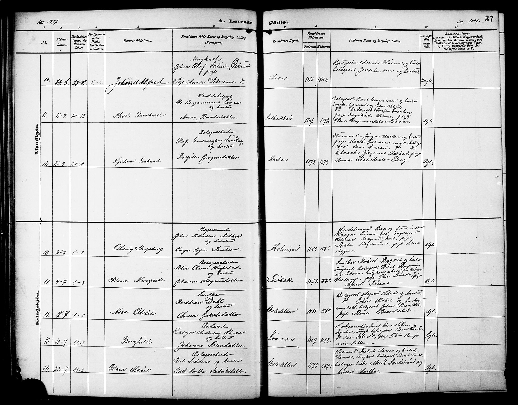 Ministerialprotokoller, klokkerbøker og fødselsregistre - Sør-Trøndelag, SAT/A-1456/617/L0431: Klokkerbok nr. 617C01, 1889-1910, s. 37