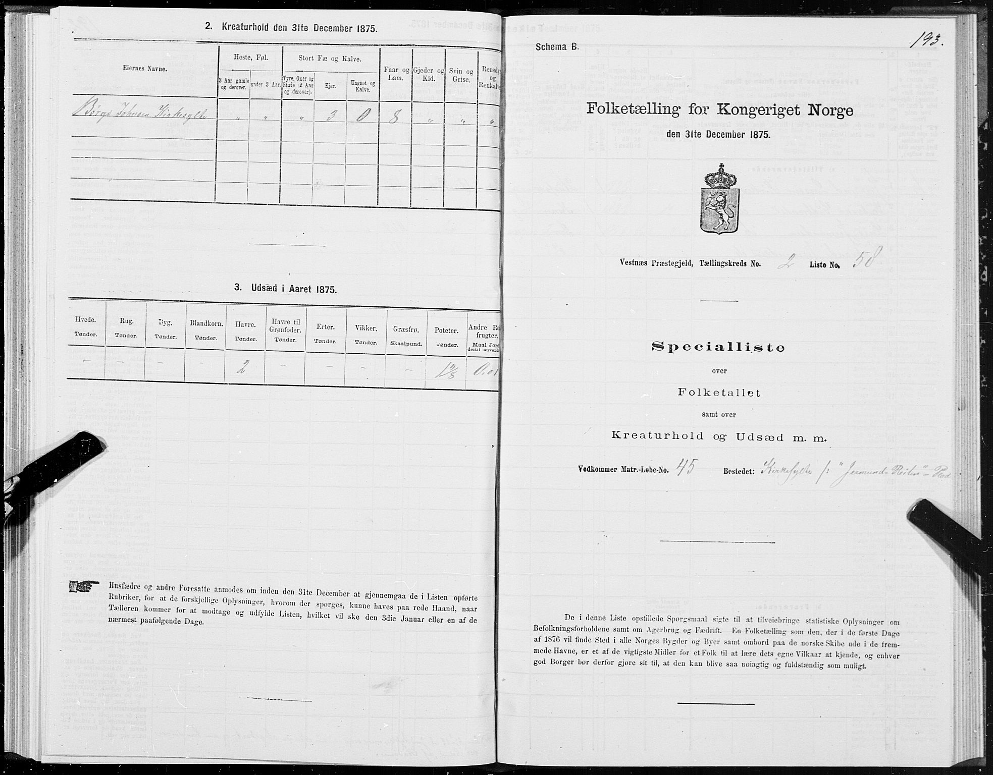 SAT, Folketelling 1875 for 1535P Vestnes prestegjeld, 1875, s. 1193